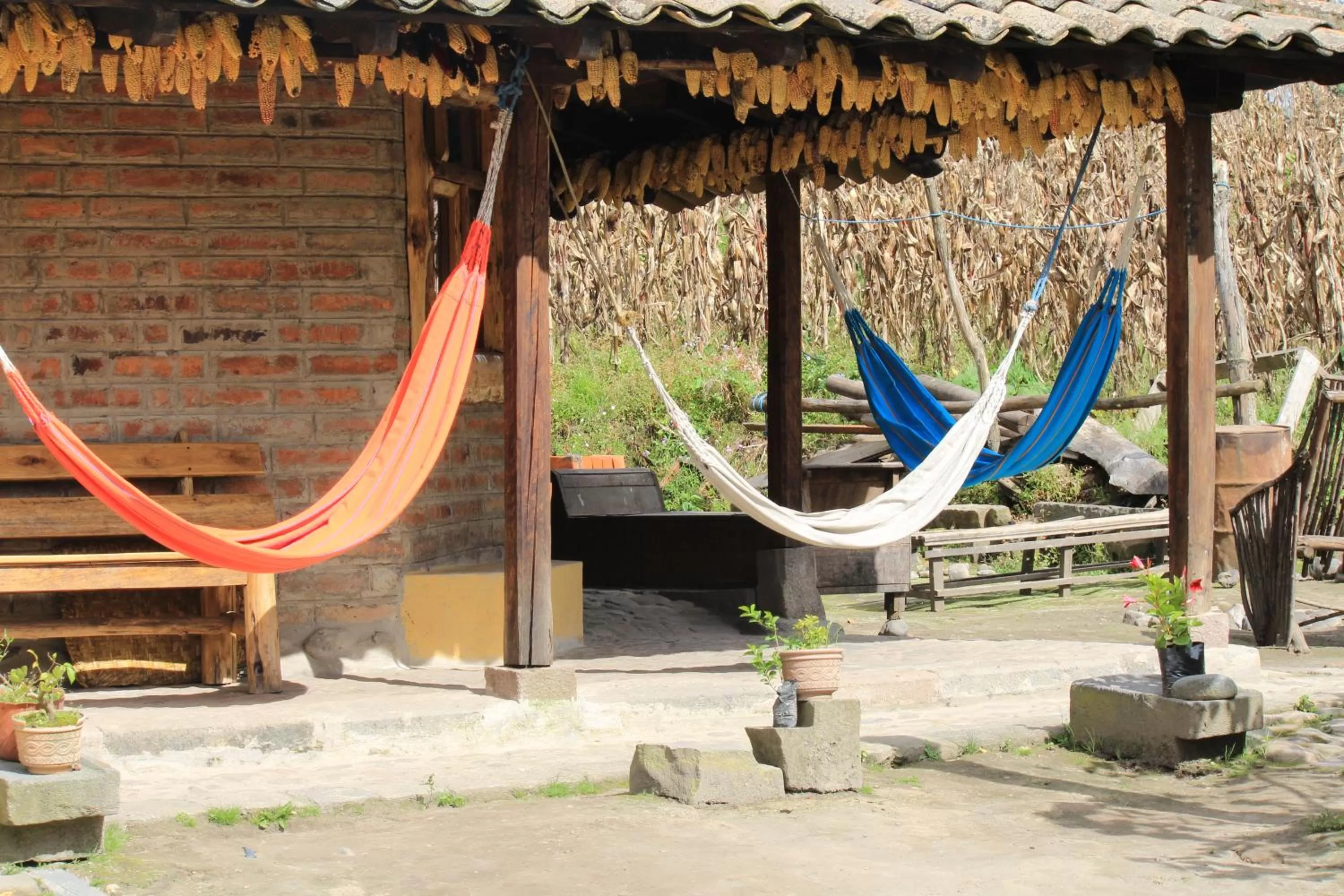 Patio in El Tio Hostal
