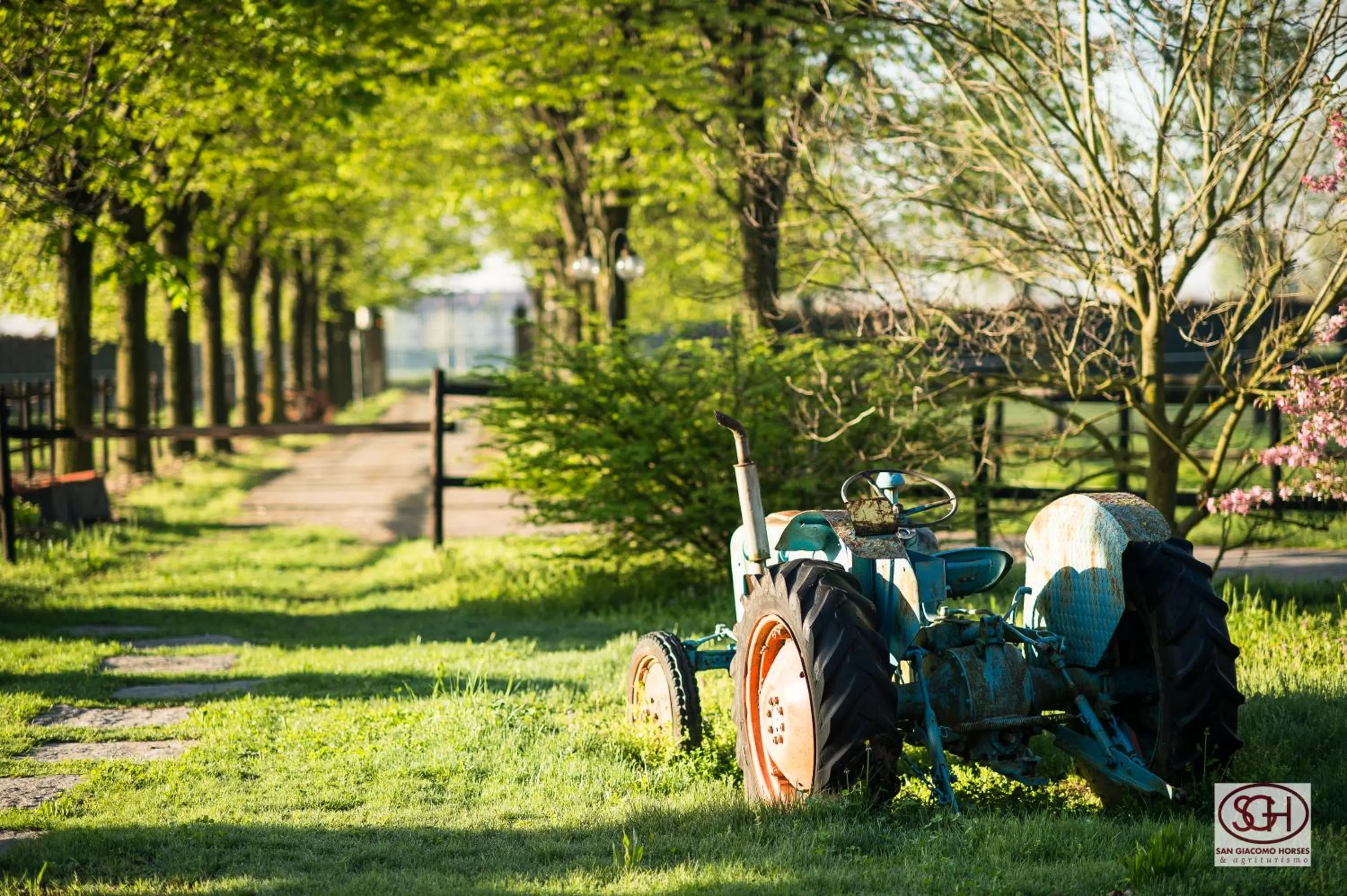 Facade/entrance in San Giacomo Horses & Agriturismo