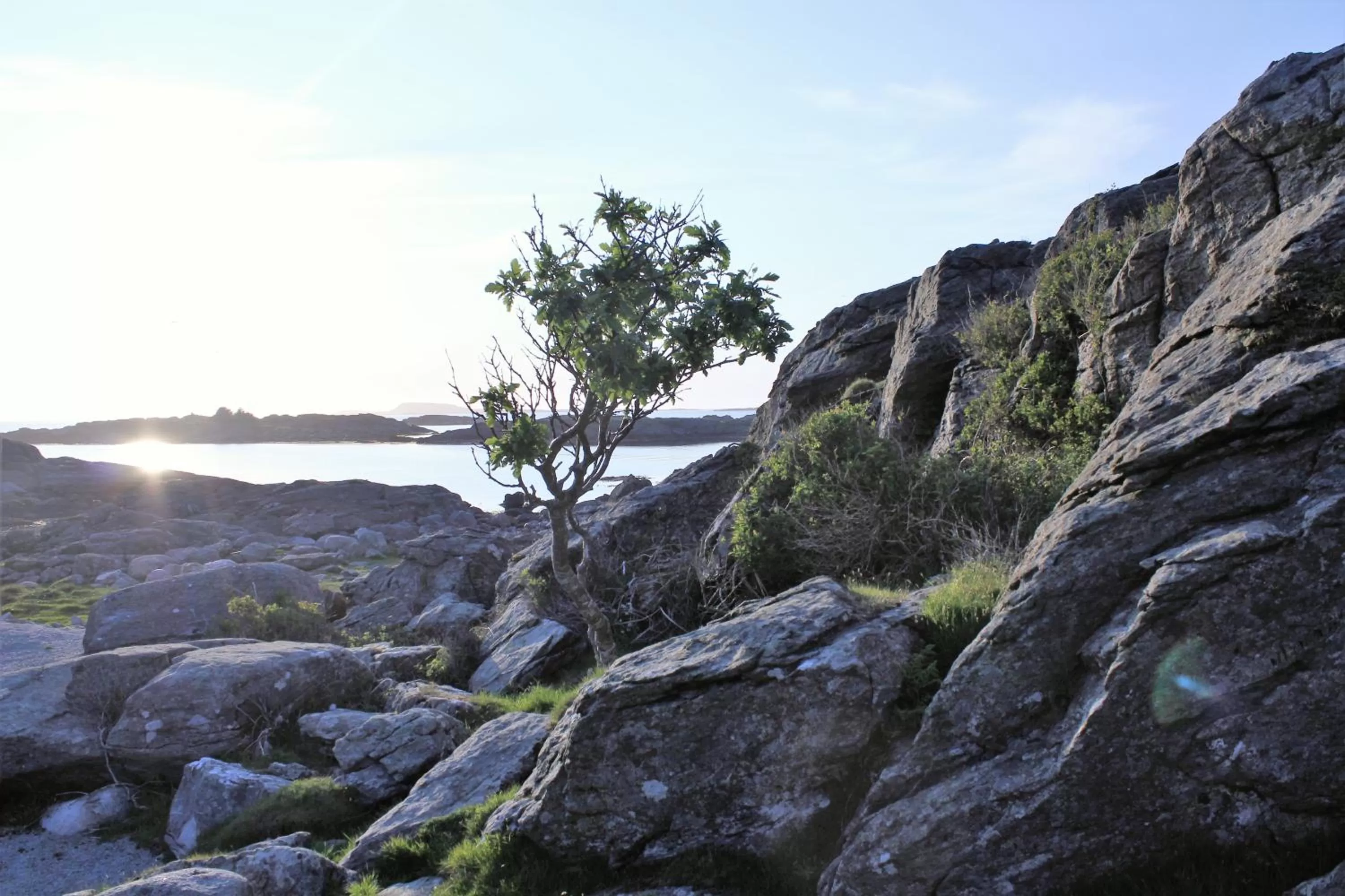 Fishing in Hummeren Hotel