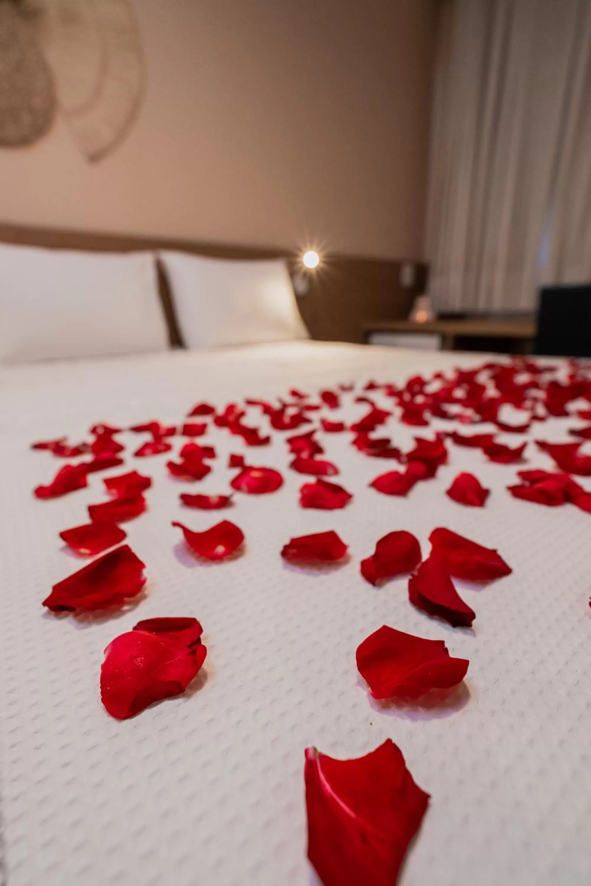 Decorative detail, Bed in Fortaleza Mar Hotel