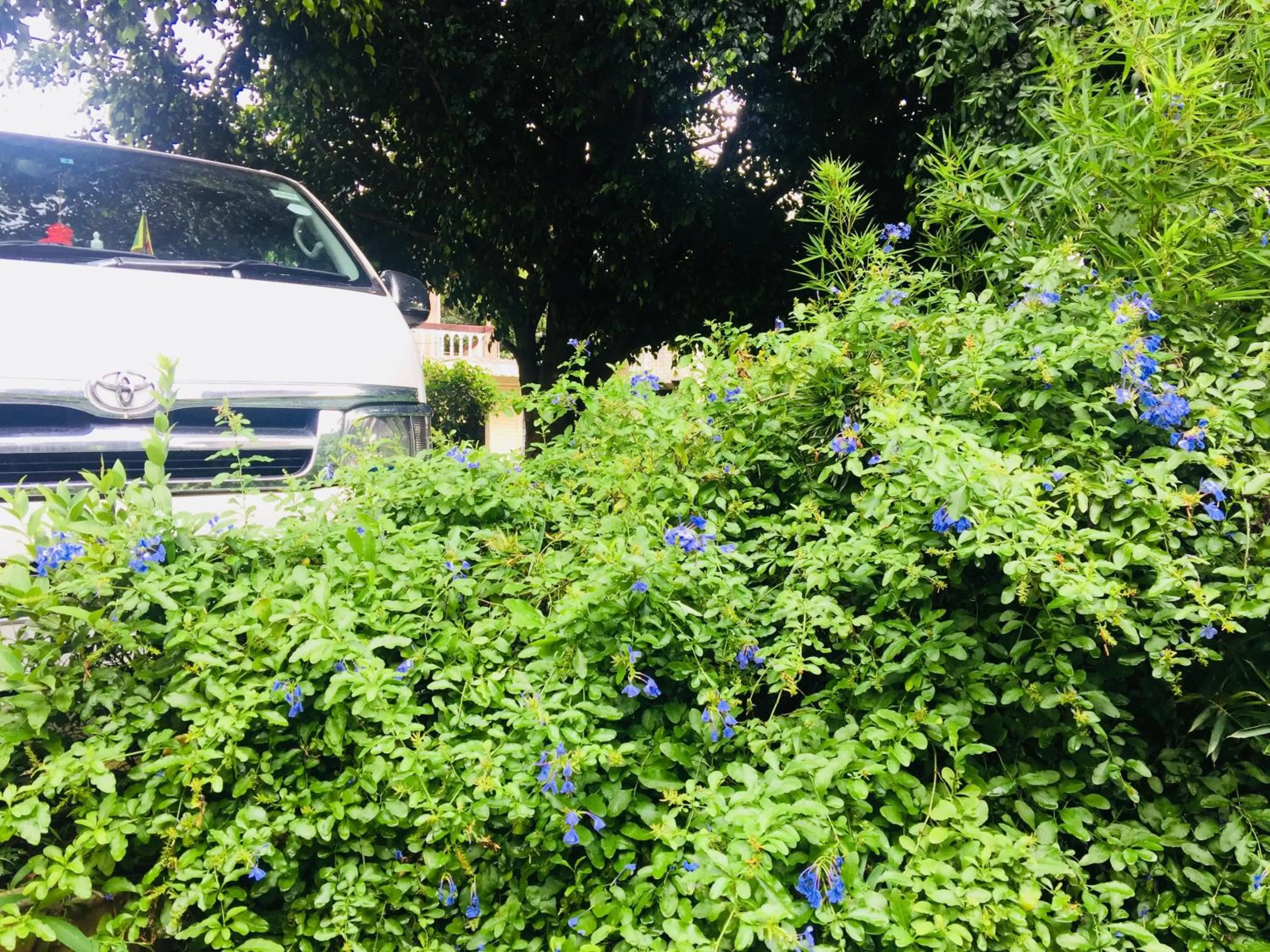 Garden in Veraima Kandy