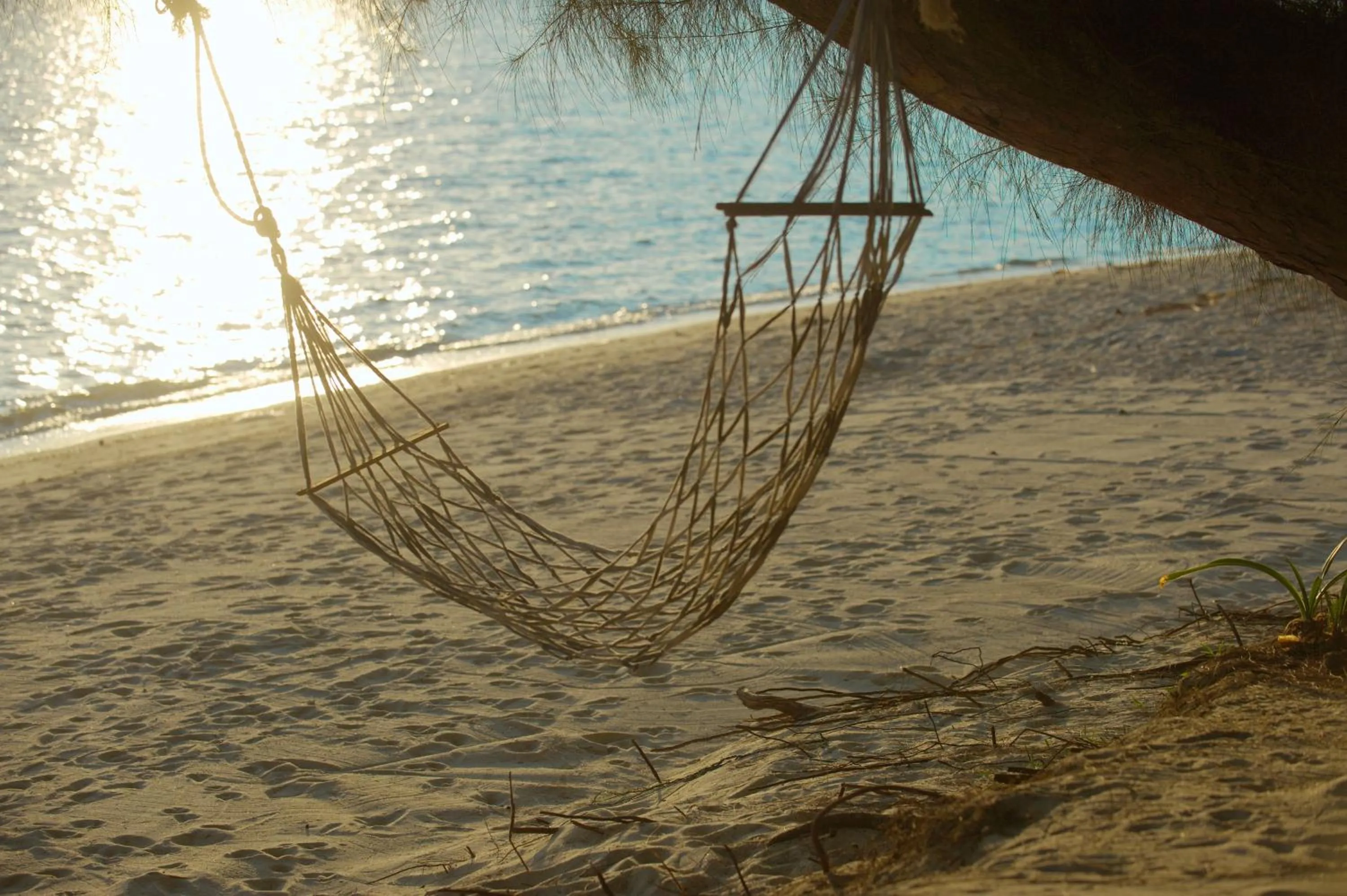 View (from property/room) in The Siam Residence Boutique Resort