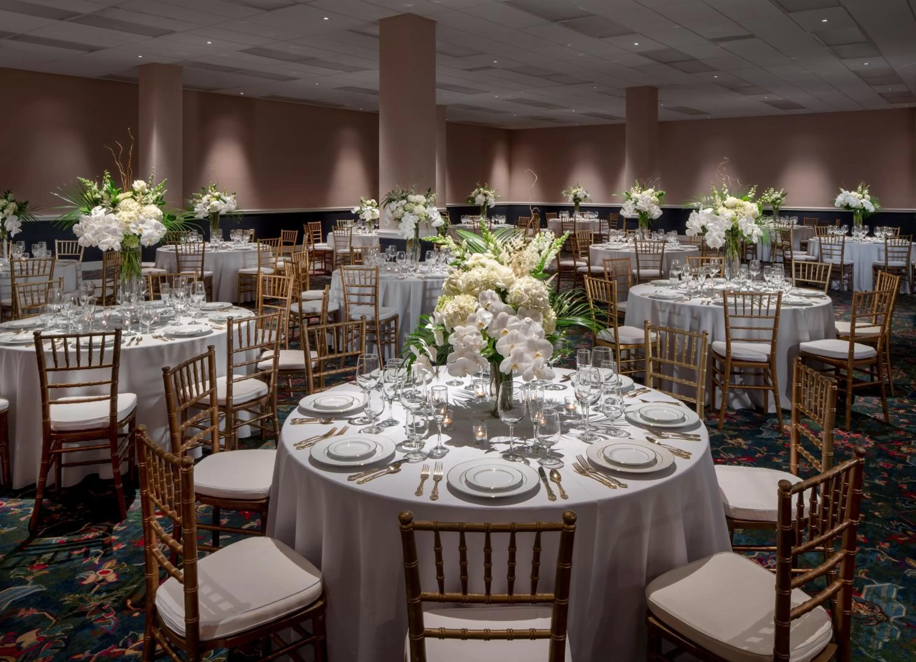 Banquet/Function facilities in Graduate by Hilton Fayetteville, AR