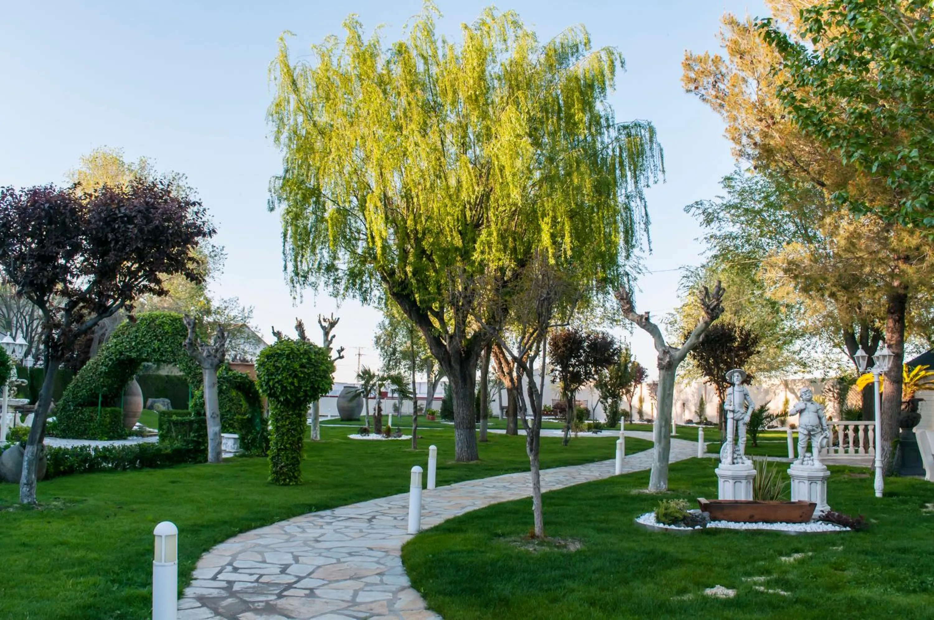 Garden in Hotel Complejo París