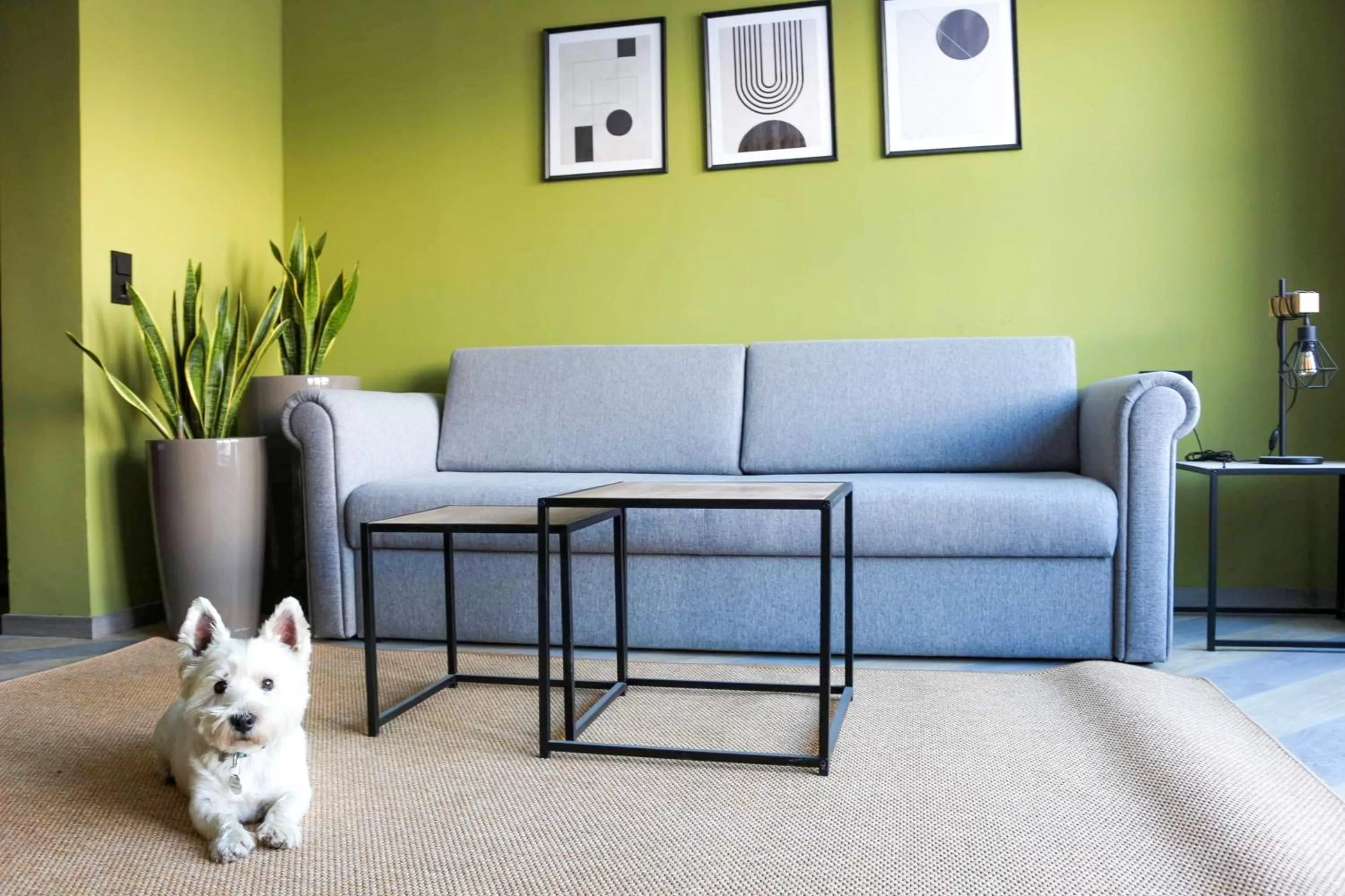 Pets in ever grün KAPRUN