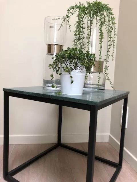 Decorative detail in B&B Sasput