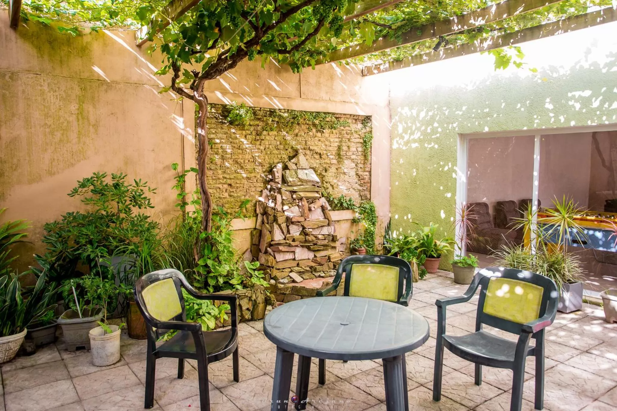 Garden in Hotel Internacional