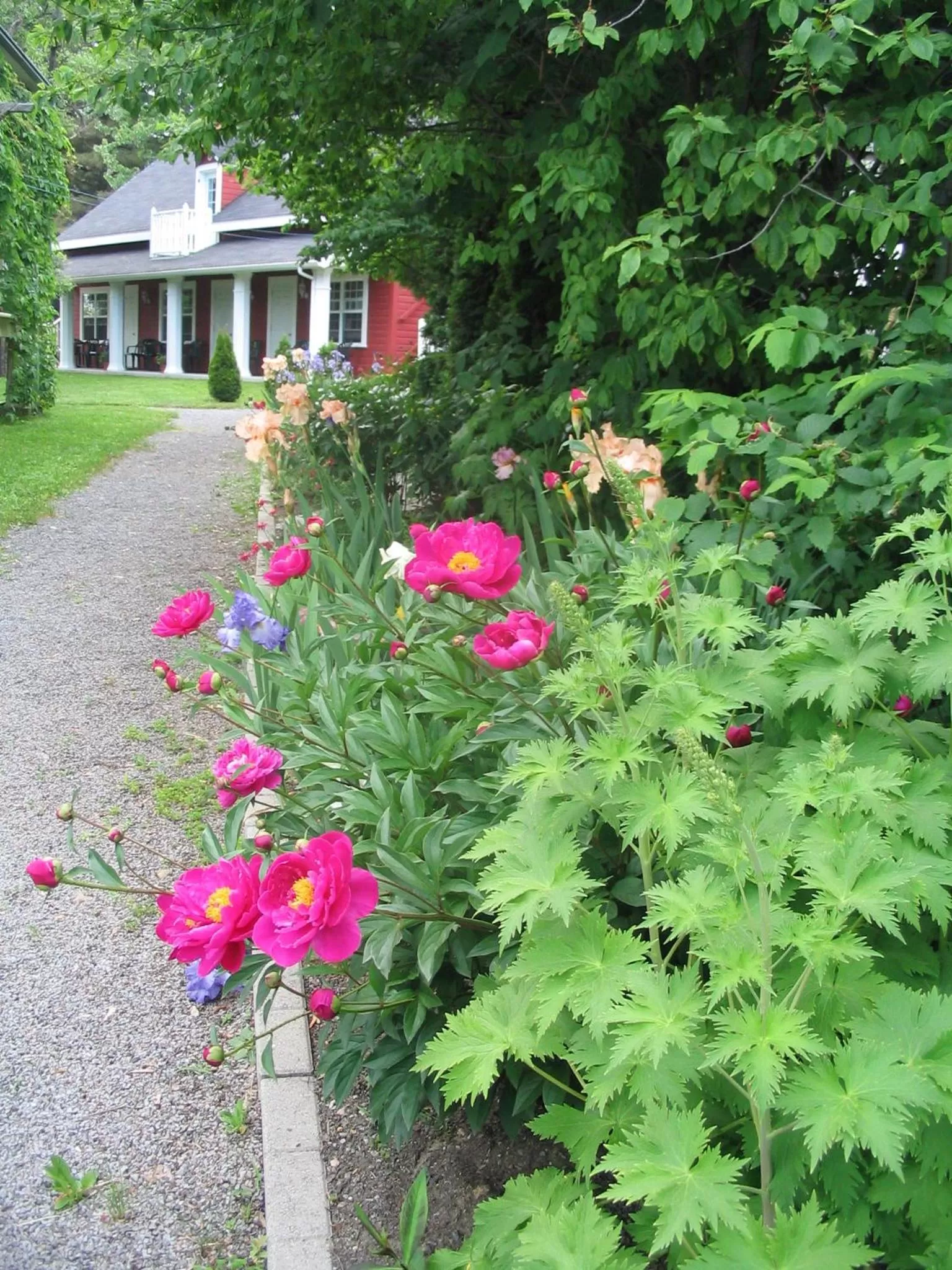 Property building in Aux petits oiseaux