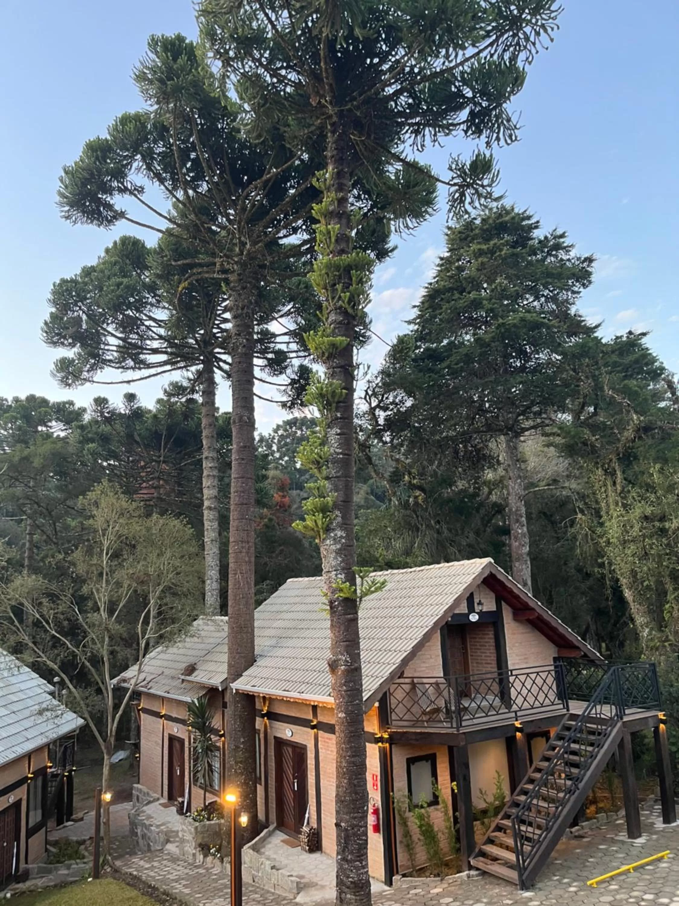 Garden view in Pousada Dona Bendita
