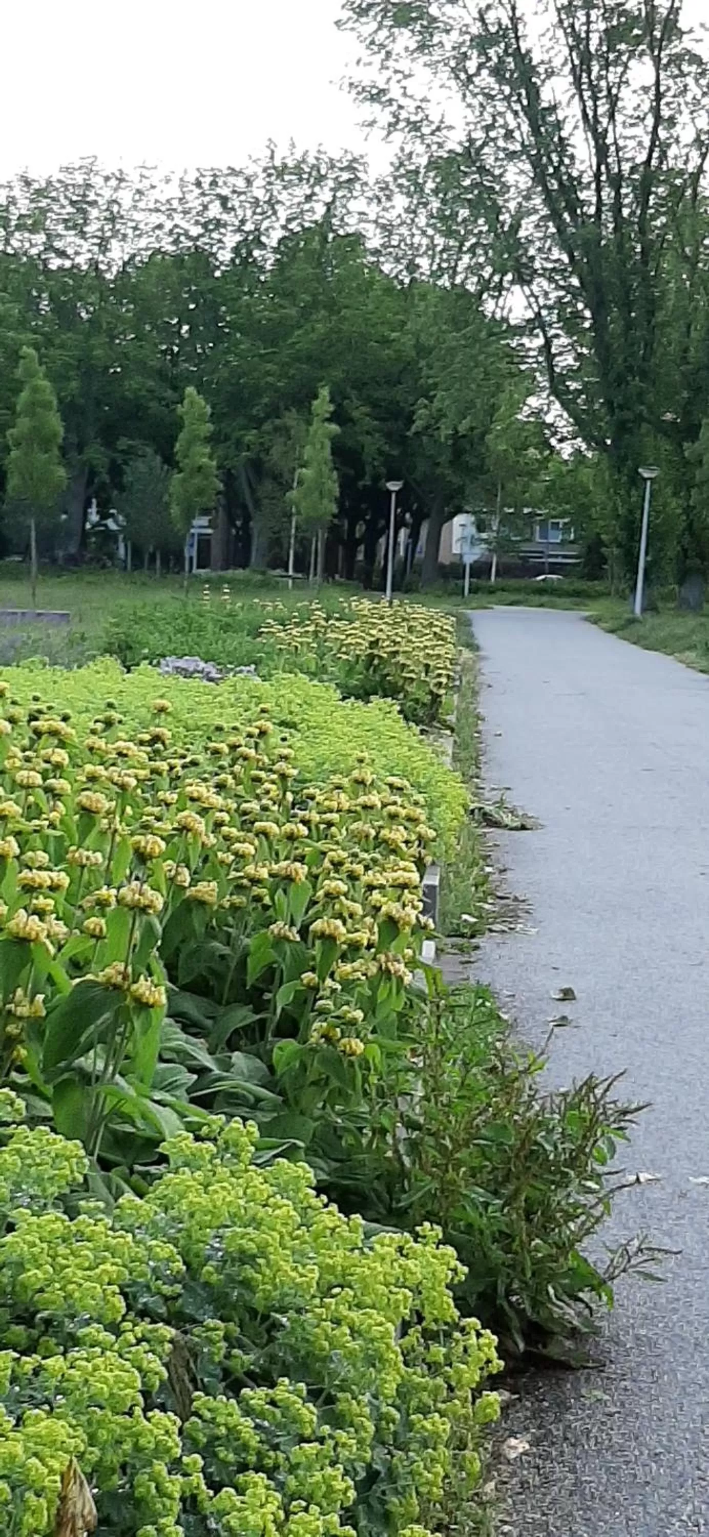 Day in Mi BnB Amsterdam