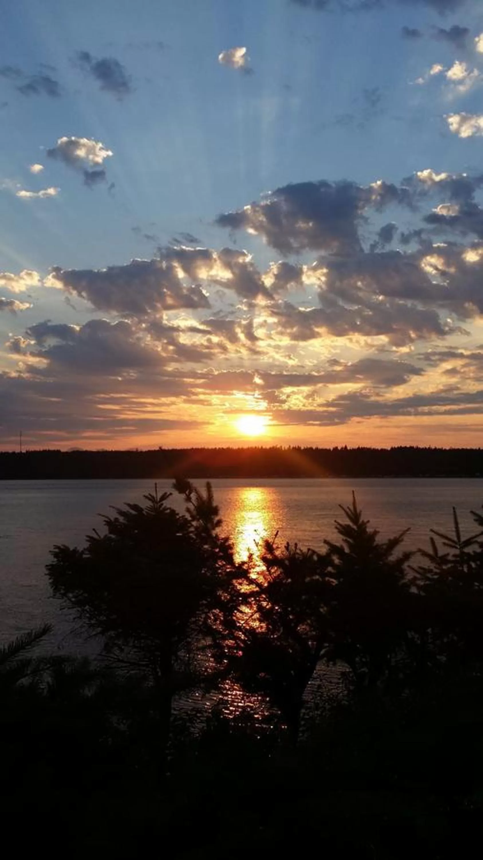Natural landscape in Above Tide Motel