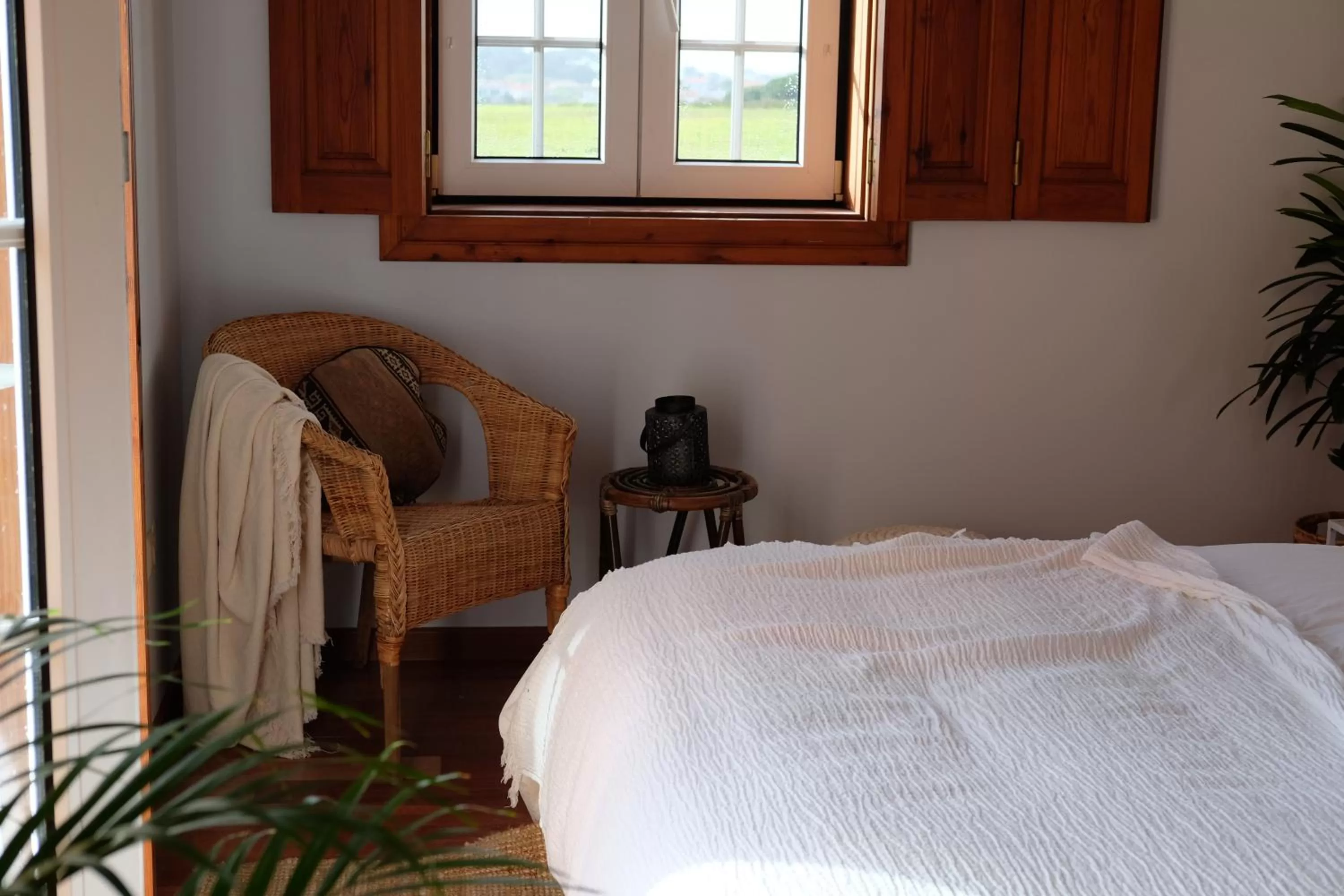 Dreamsea Surf Guest House