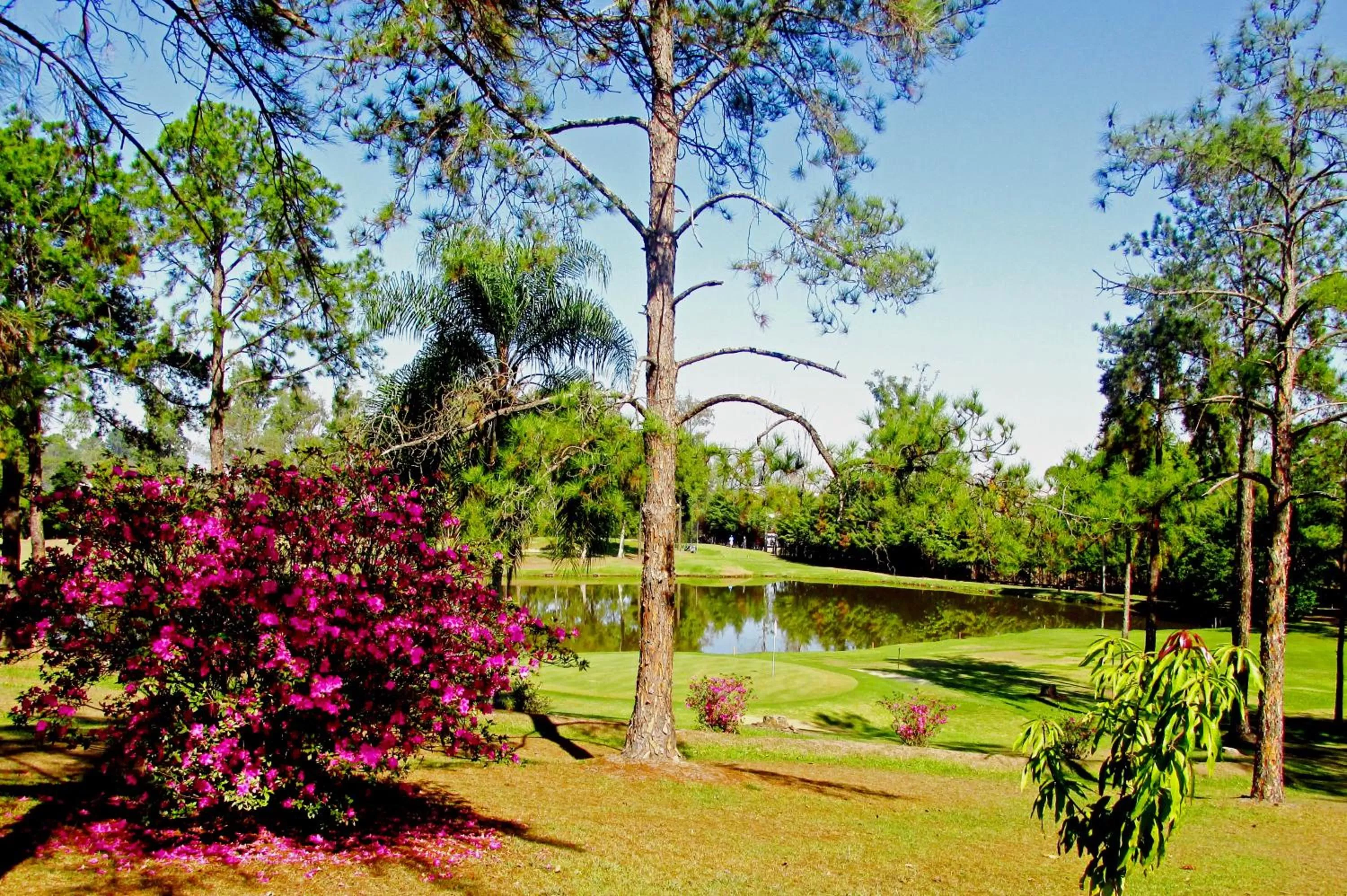 Golfcourse in Hotel Resort e Golfe Clube dos 500