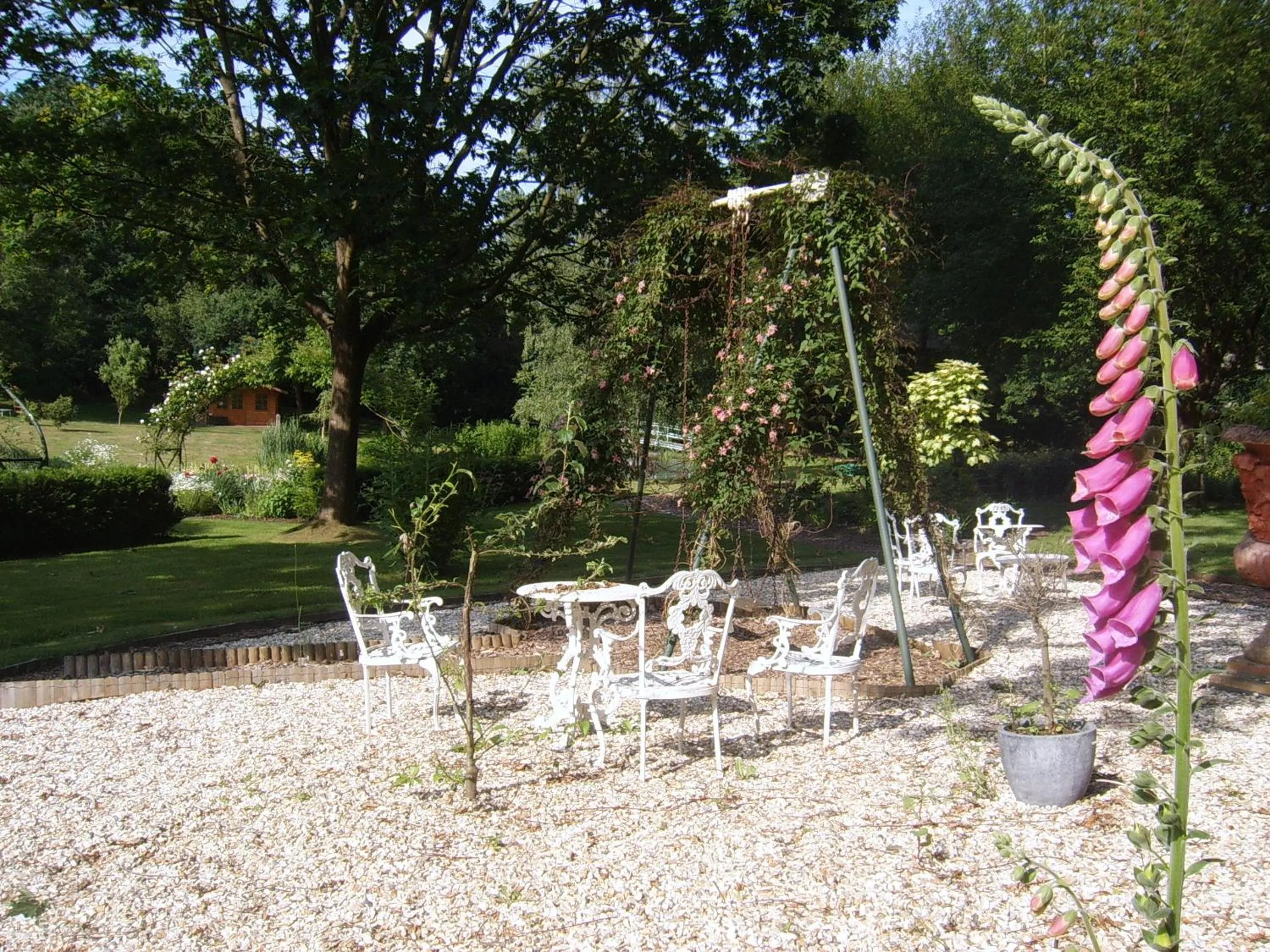 Garden in Passford House Hotel