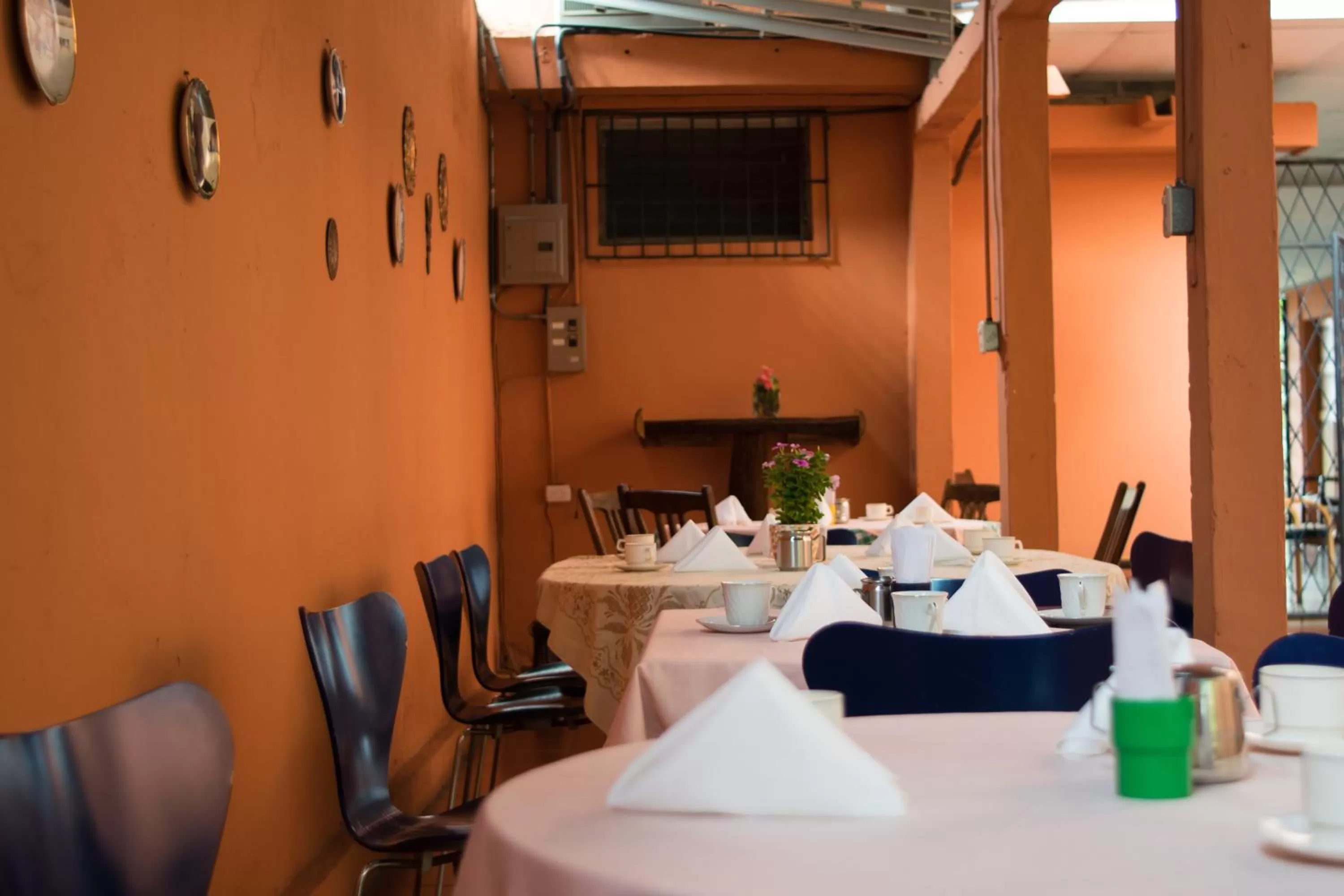 Food and drinks in Hotel Valerie