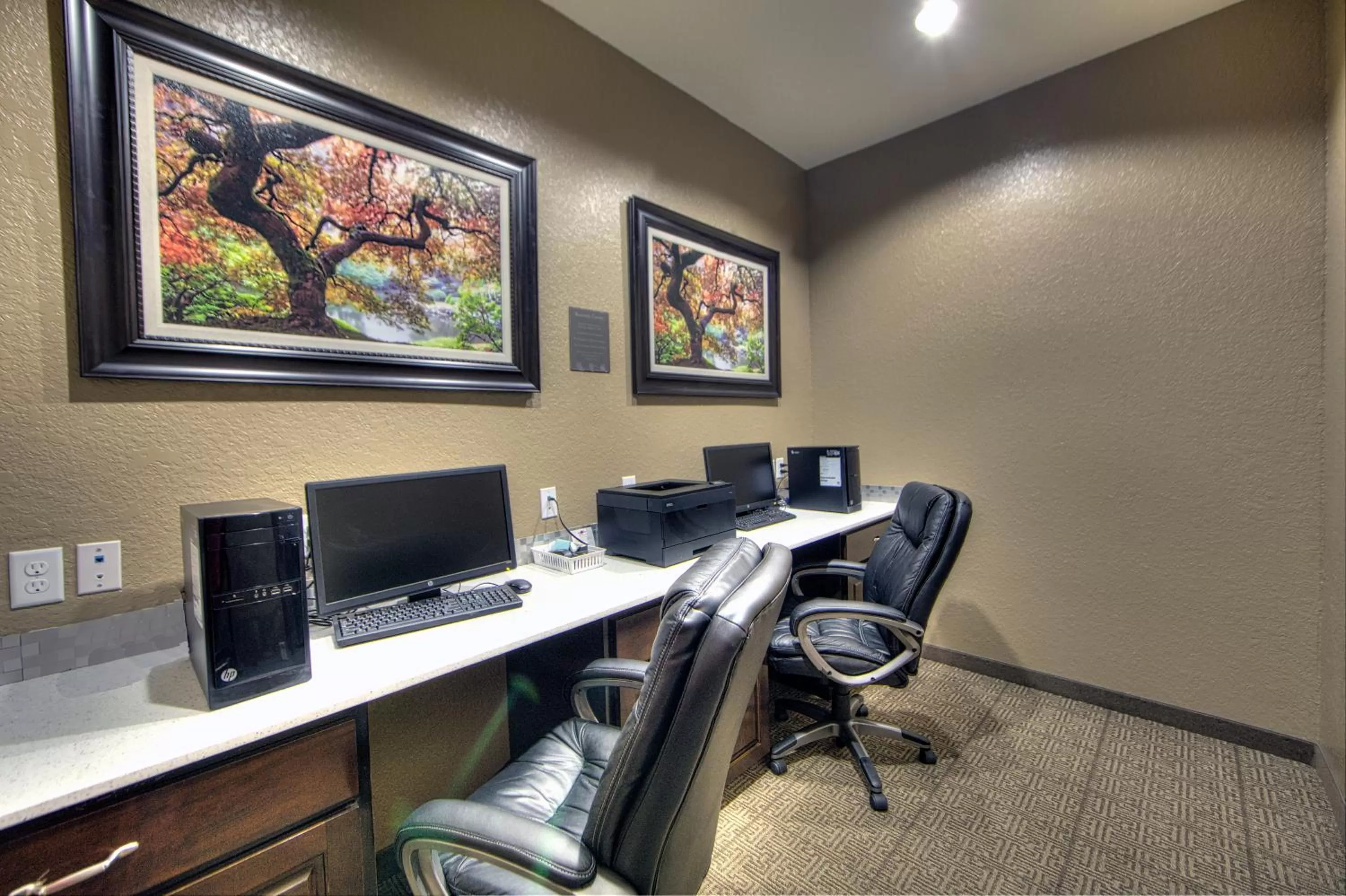 Business facilities in Comfort Inn & Suites, White Settlement-Fort Worth West, TX