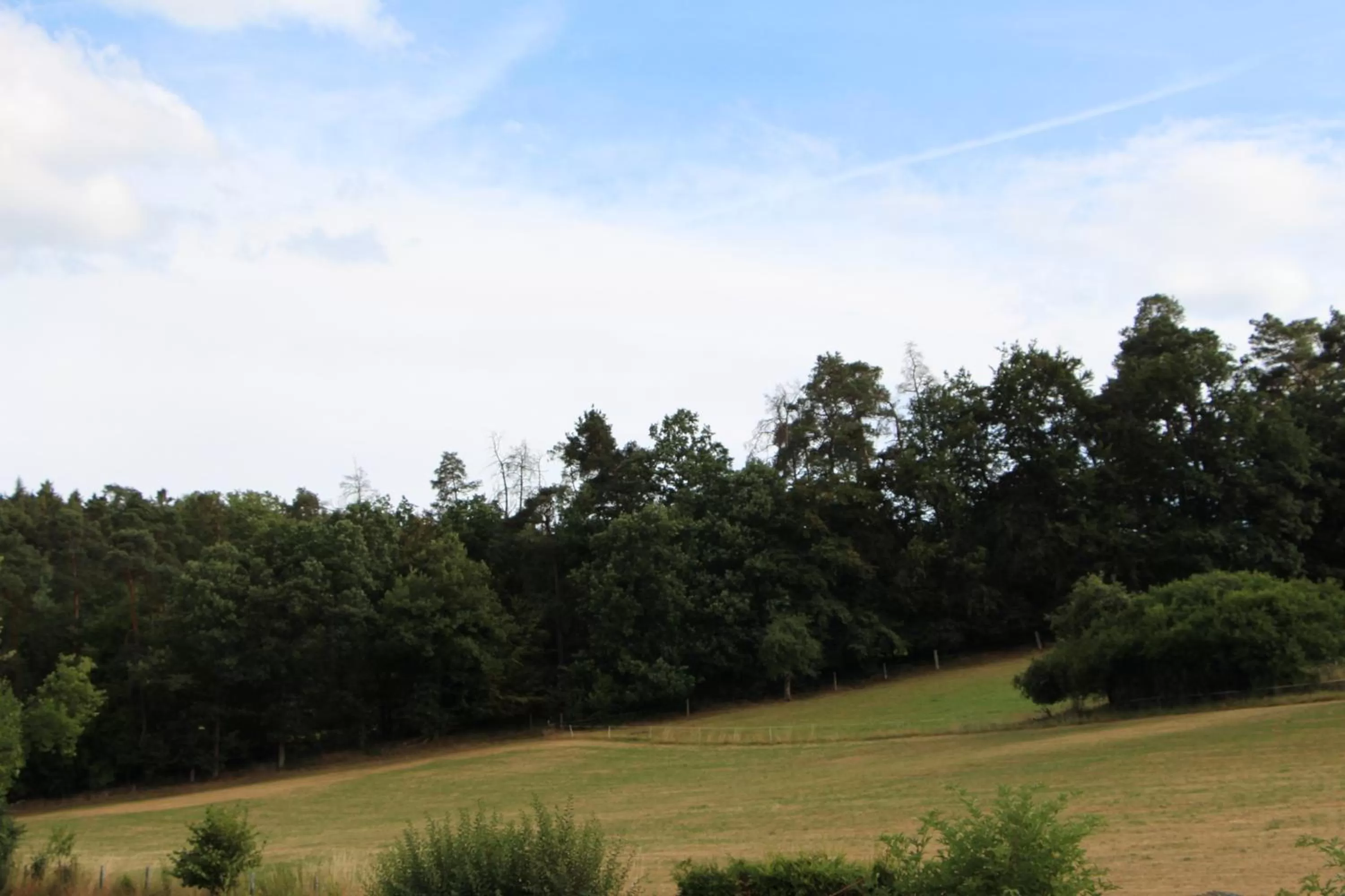 Natural landscape in Moderne Wohnung im Rhein-Main-Gebiet