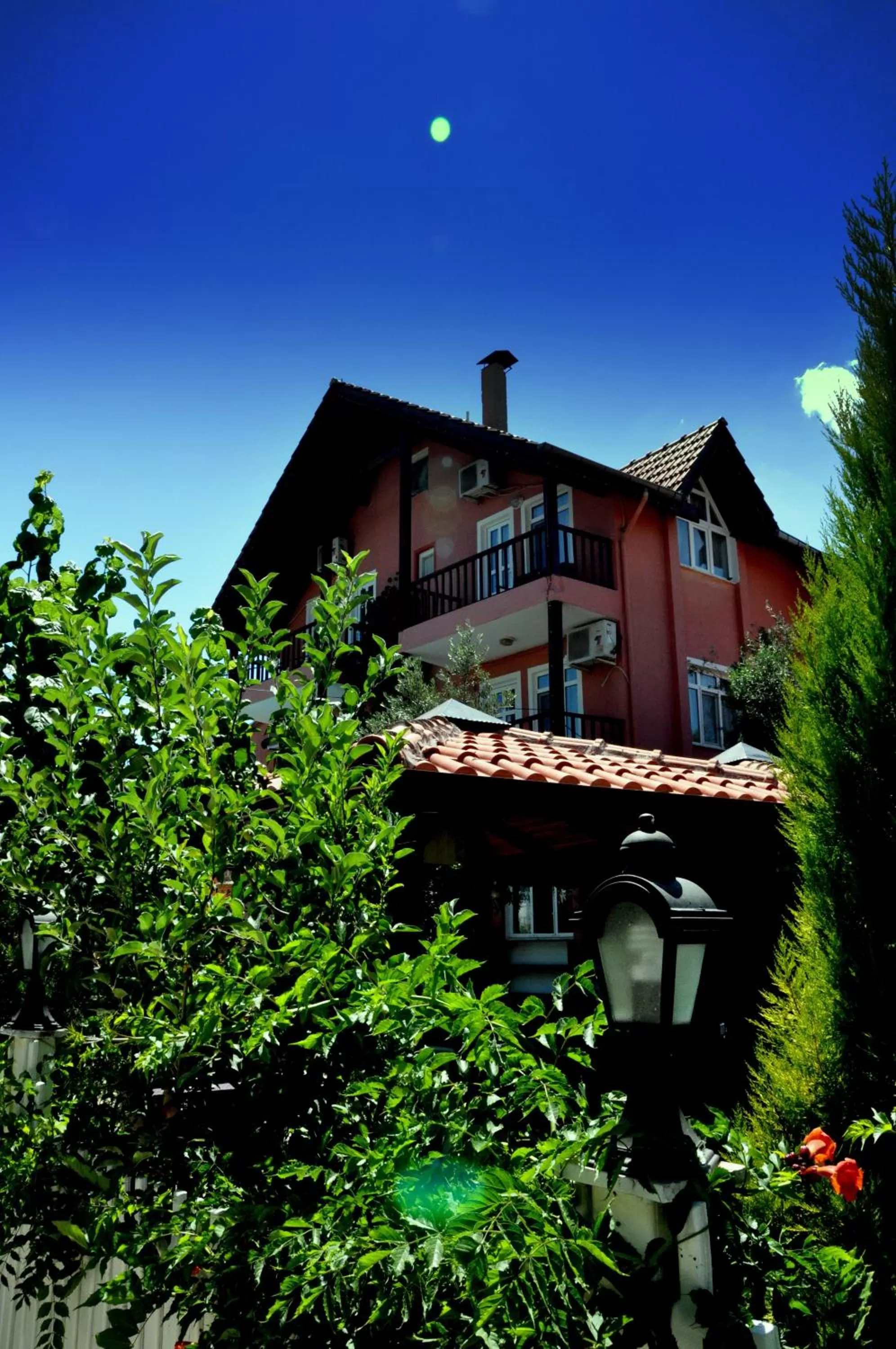 Garden in Venus Hotel