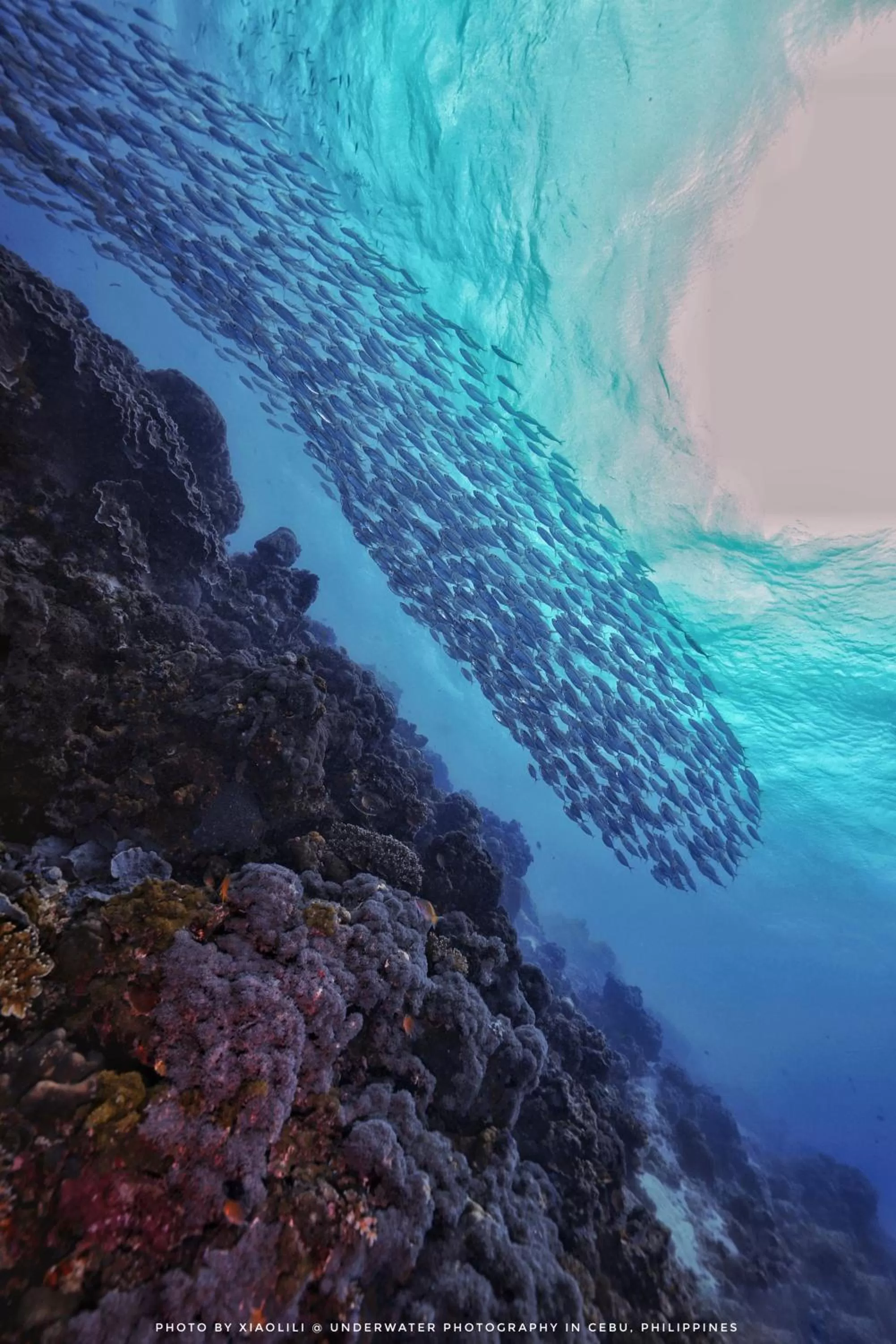 Bird's eye view in Sugarsea Inn & Dive shop