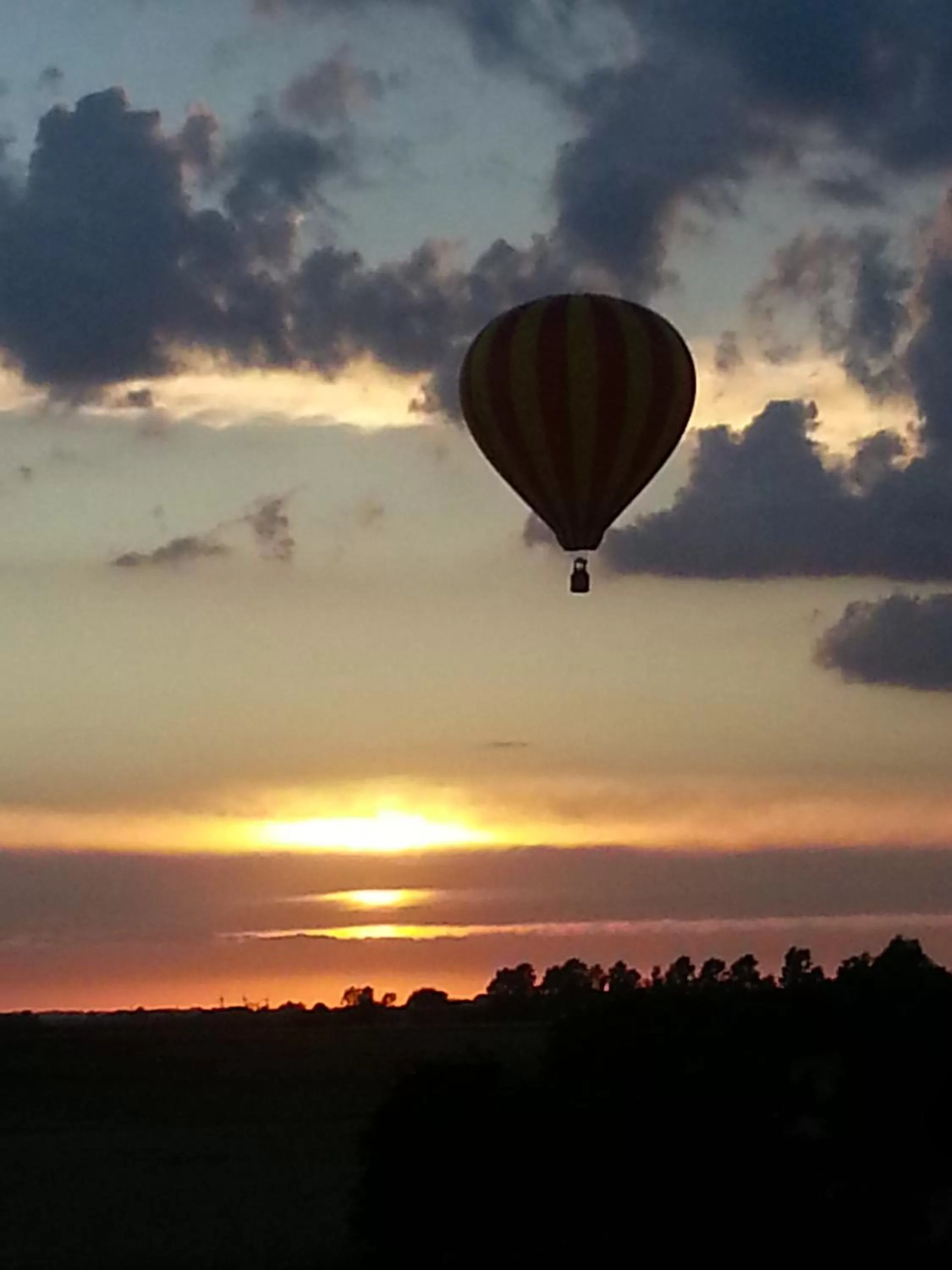 Area and facilities in Roskilde B&B