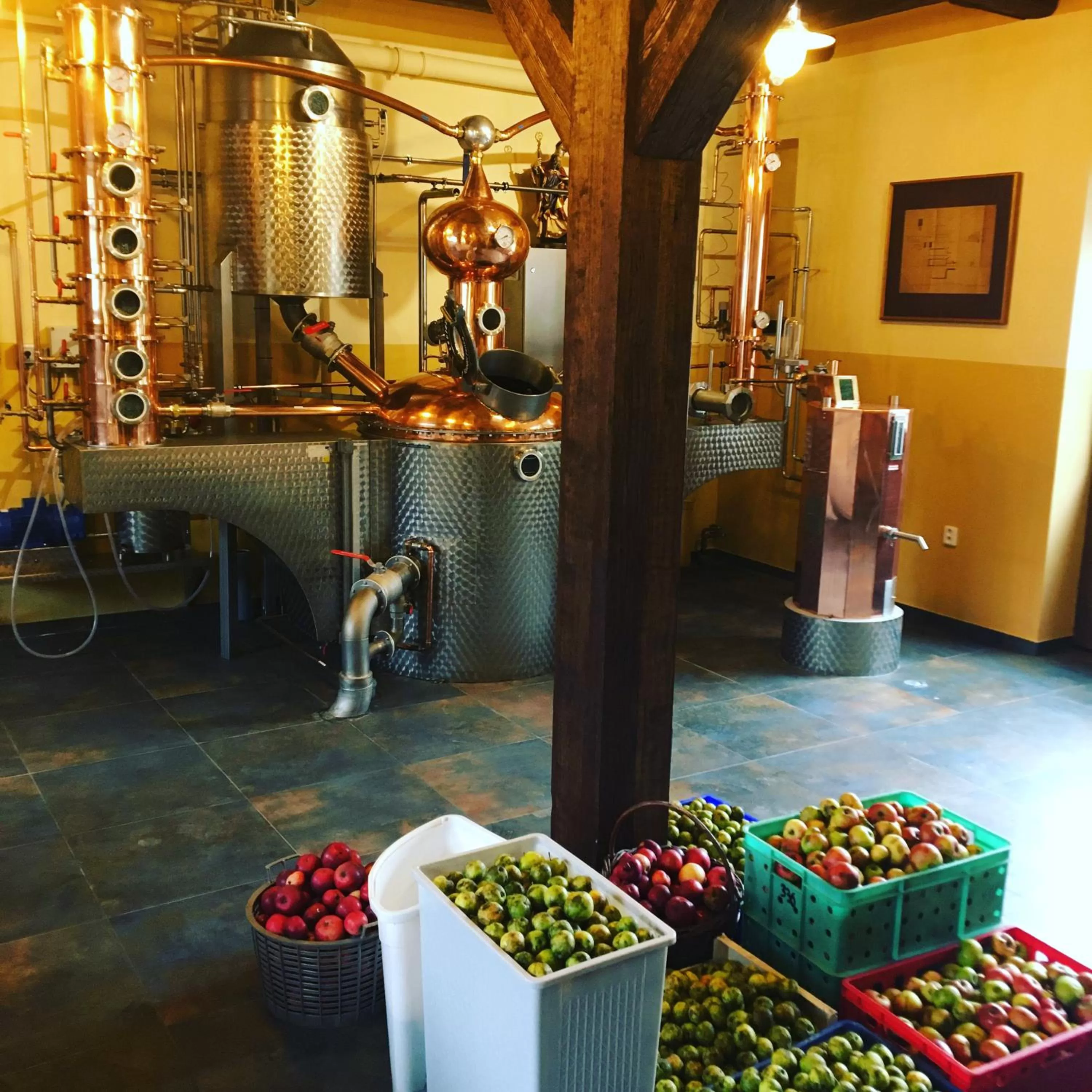 Area and facilities in Hotel U Bílého koně