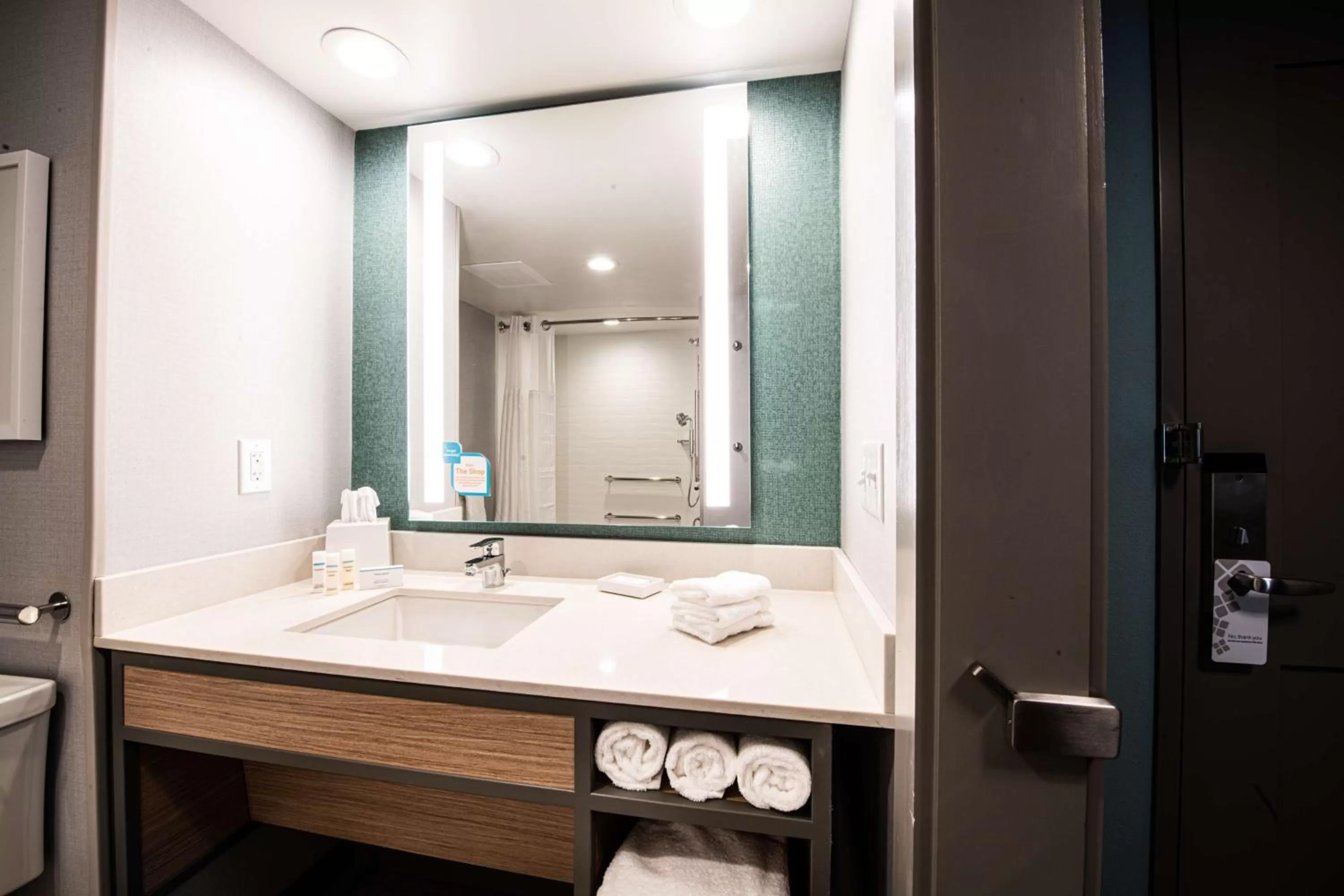 Bathroom in Hilton Garden Inn Asheville South