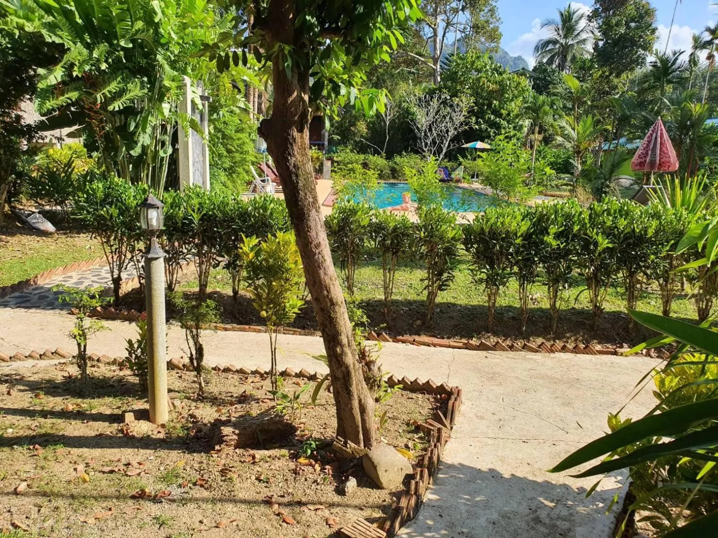 Garden in Tree Tops River Huts
