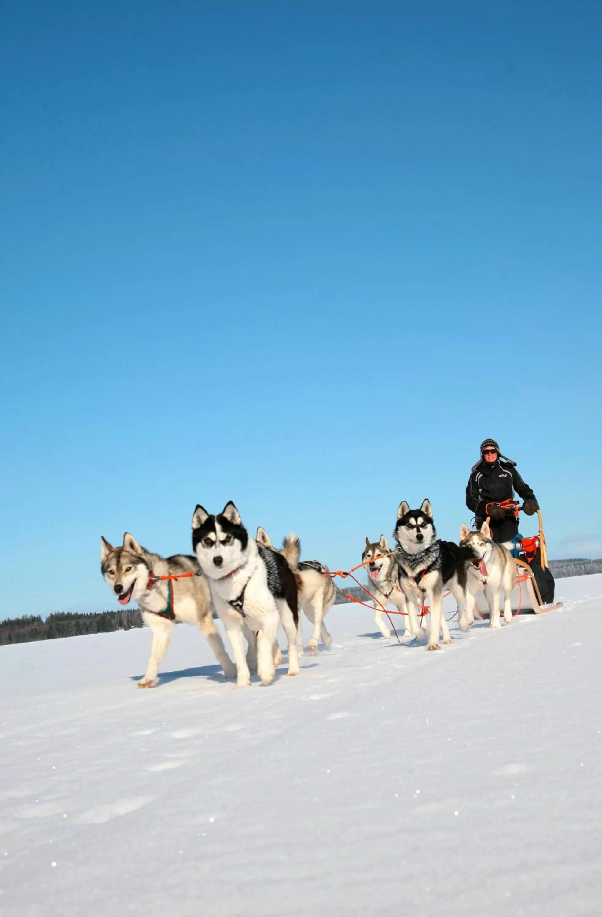 Winter in Break Sokos Hotel Vuokatti