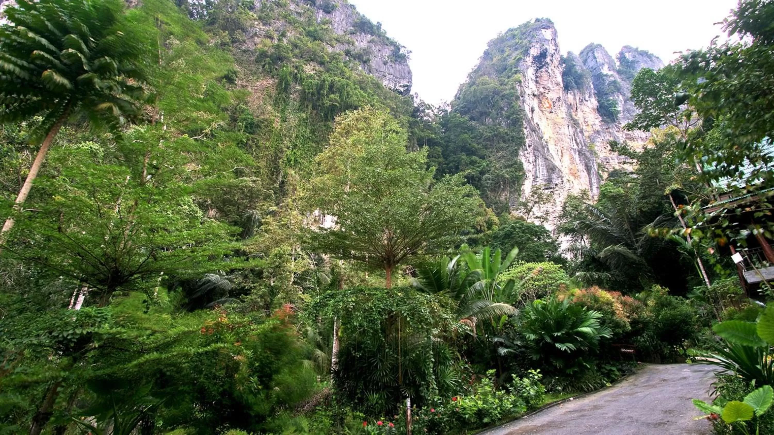 Other in Aonang Cliff View Resort SHA Extra Plus