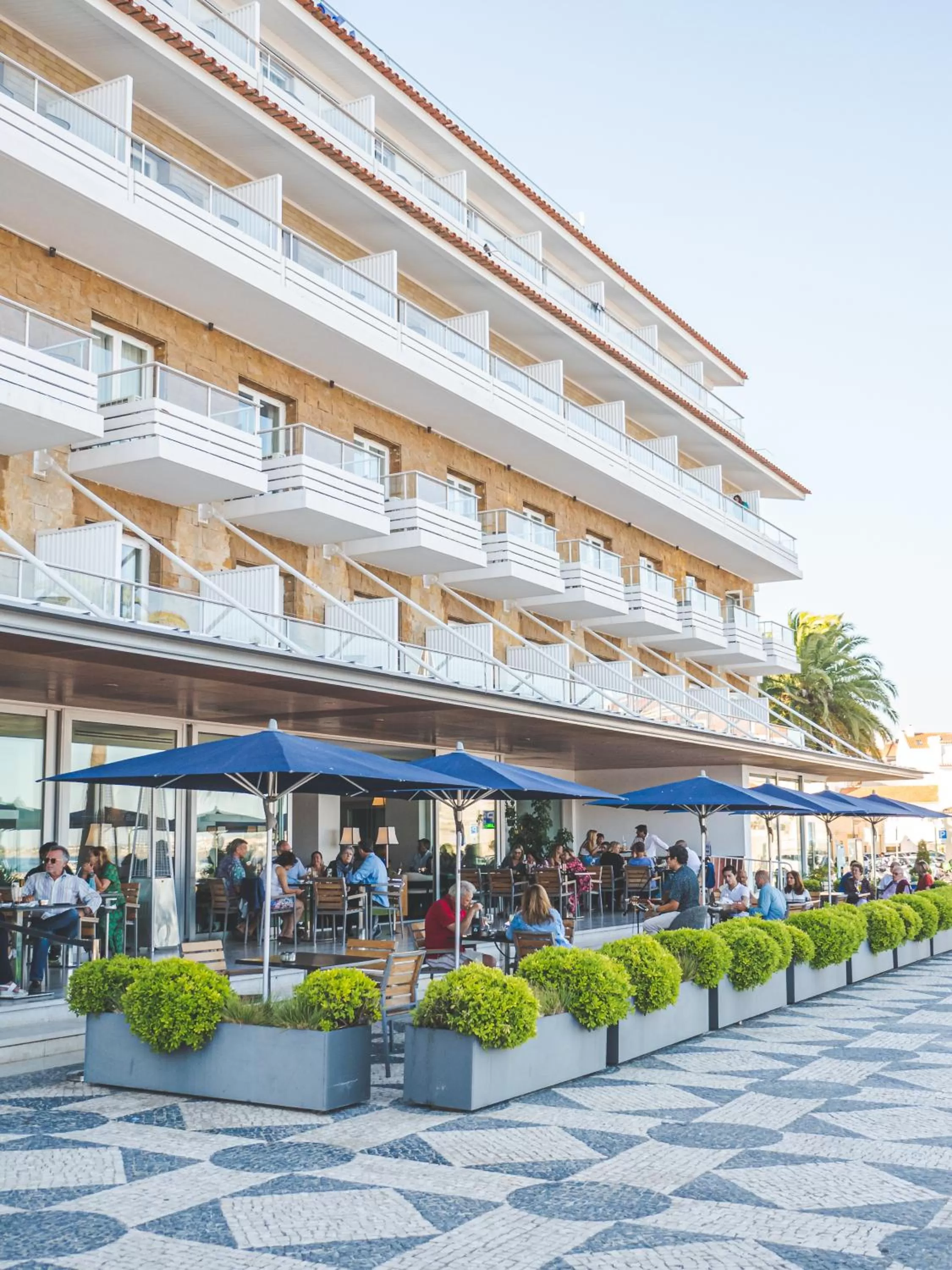 Balcony/Terrace in Hotel Baia