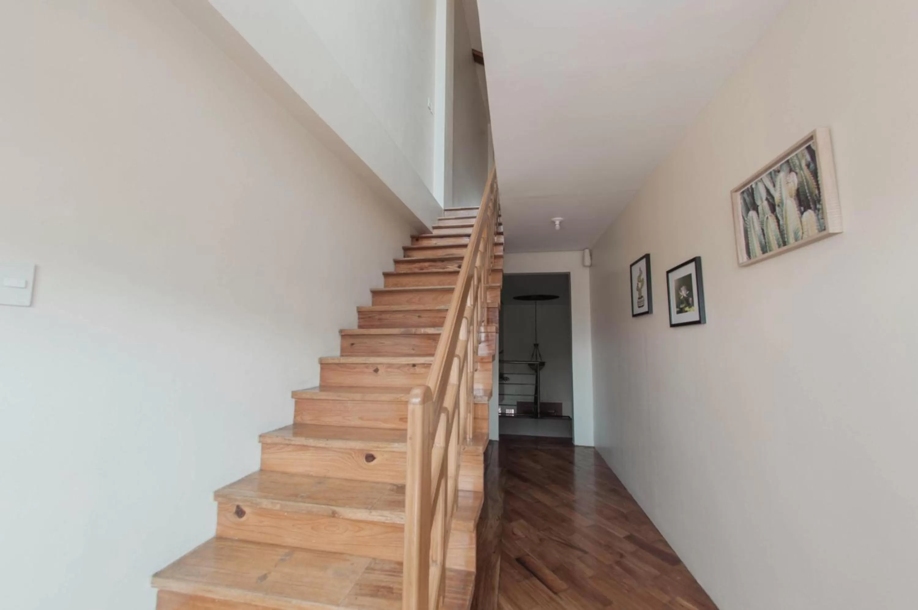 The Half House by Elmar Cabin