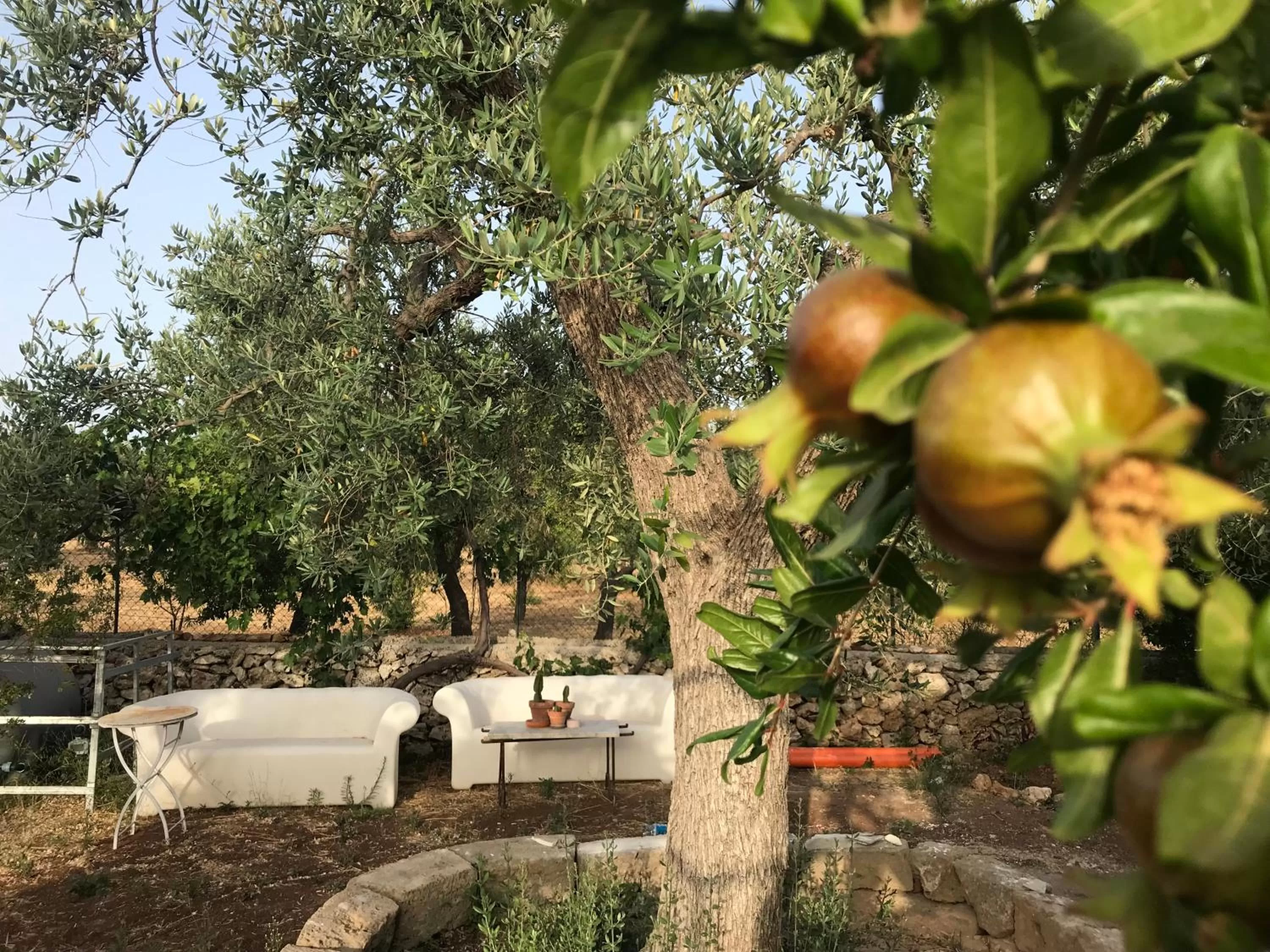 Property building in CasapiuHolidaySicilia-Adults Only