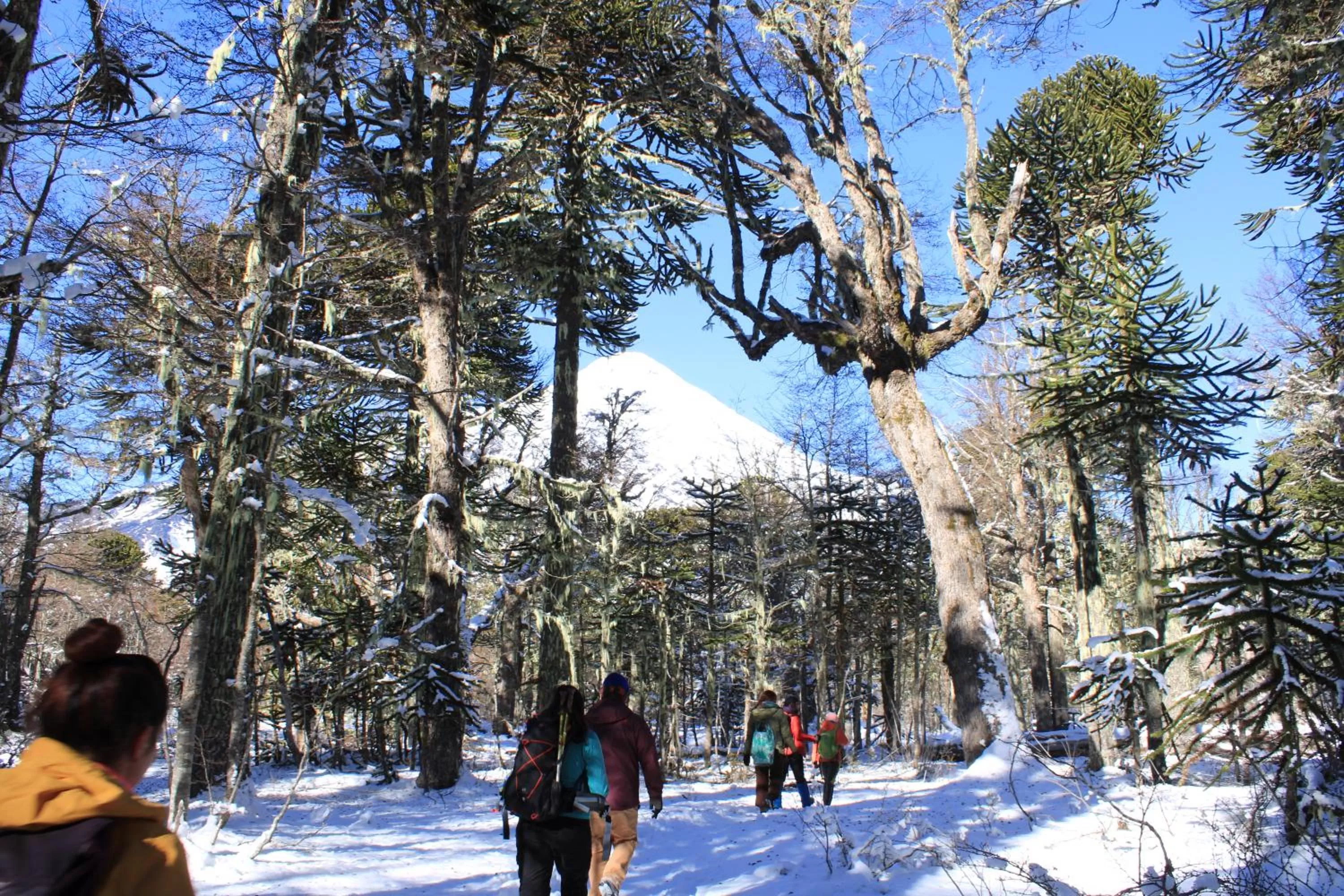 Activities in Hotel Enjoy Pucón