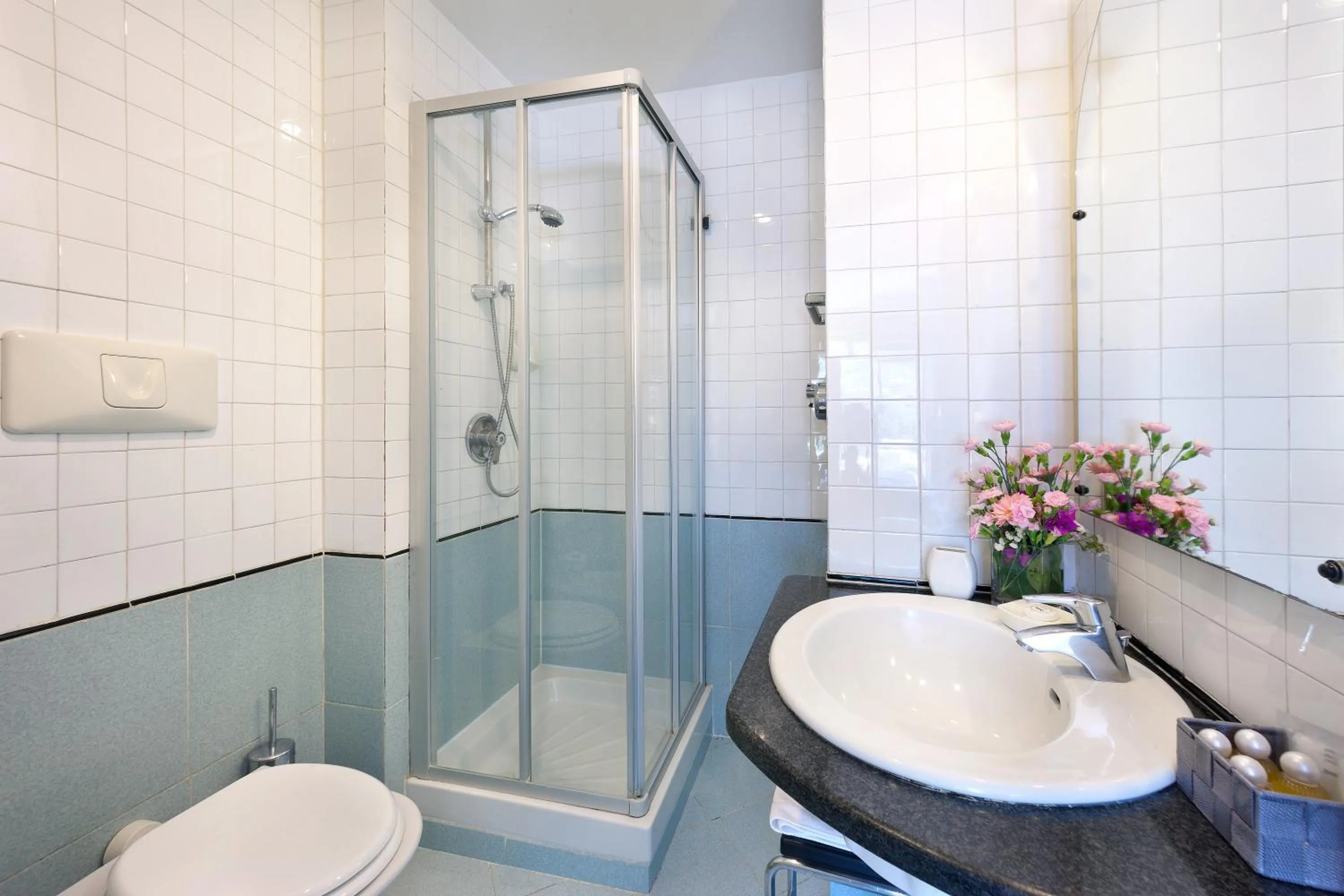 Double Room with Garden View in Hotel dei Congressi