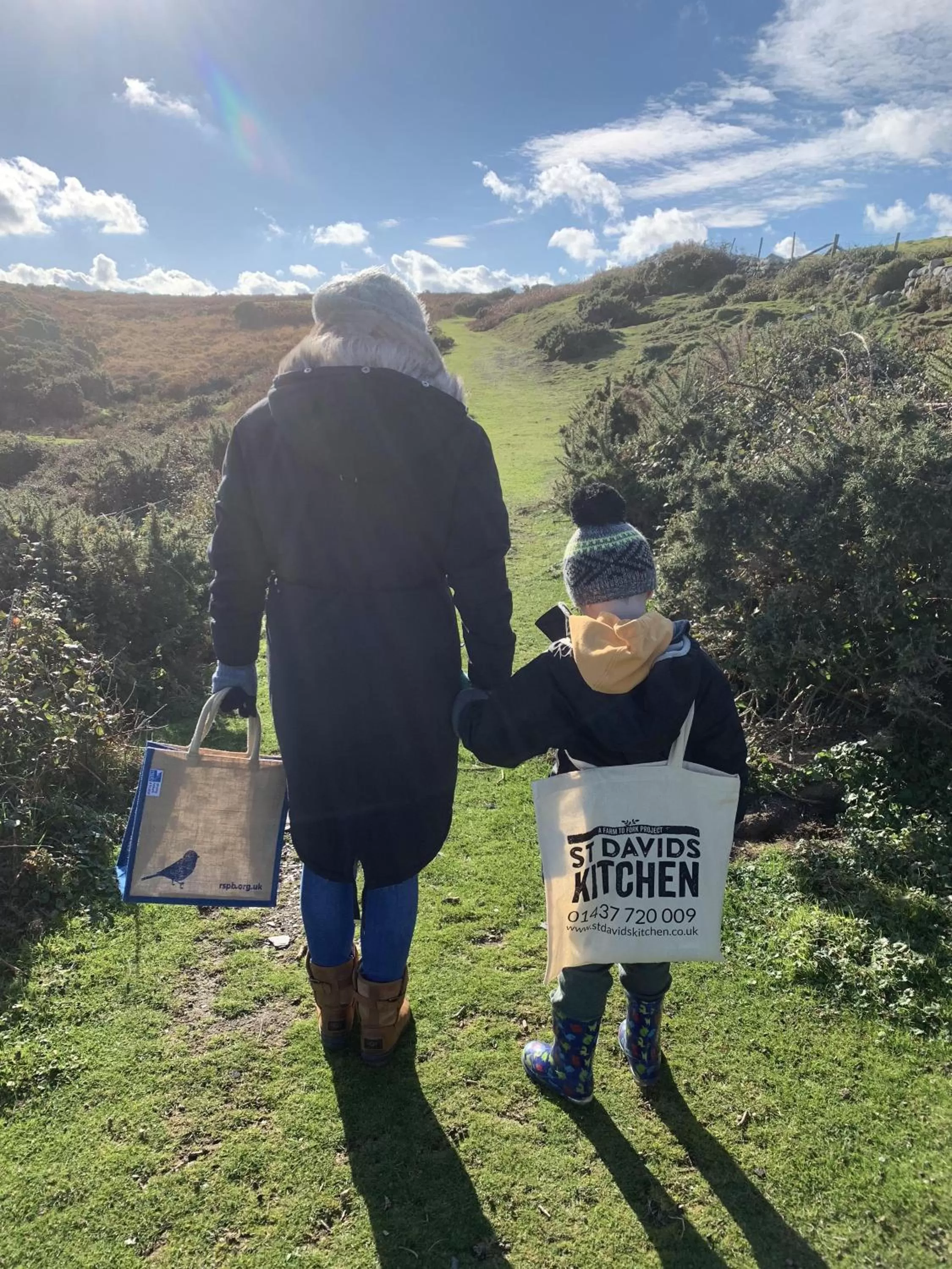 Natural landscape in St Davids Gin & Kitchen - The Cathedral Villas