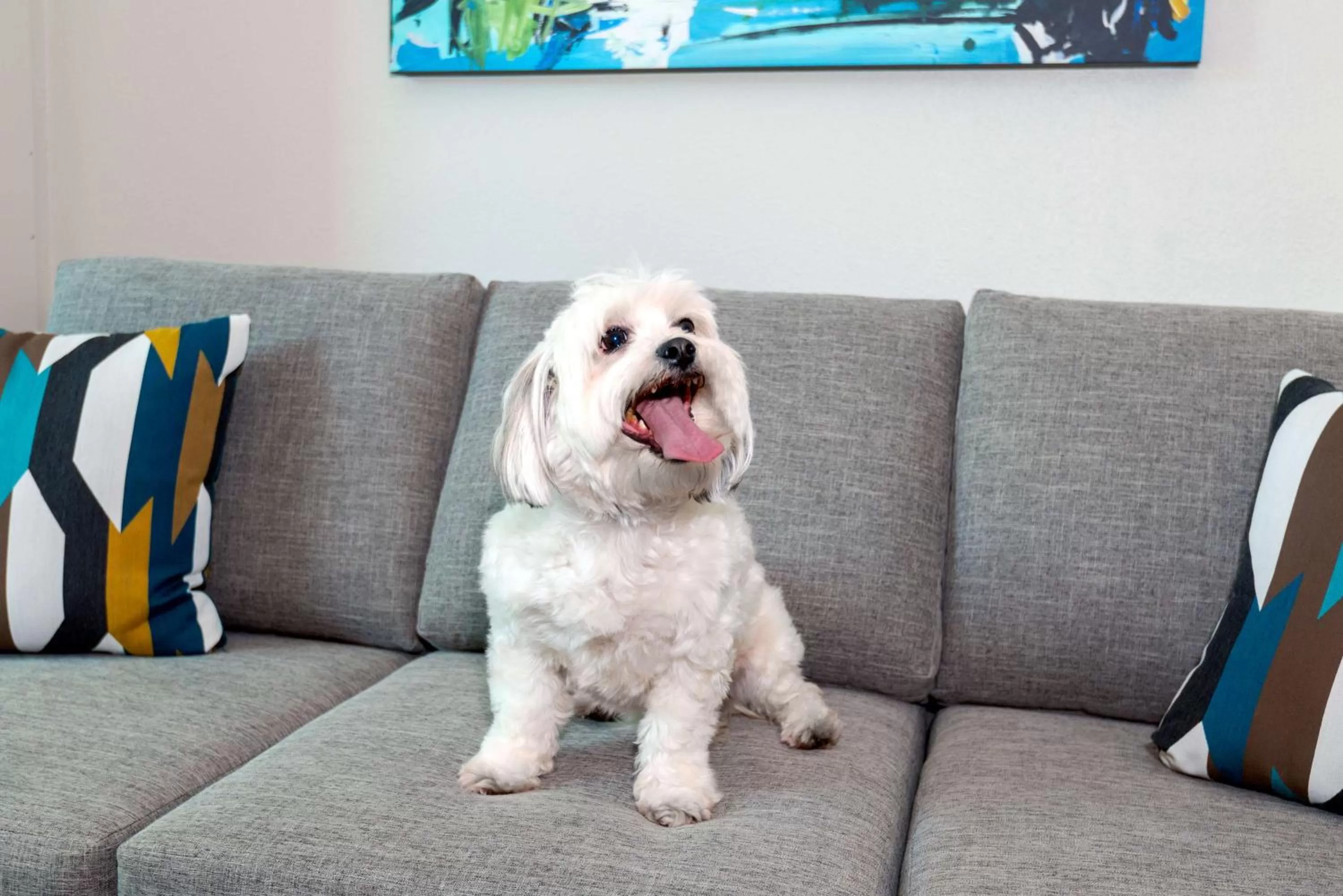 Photo of the whole room in Hampton Inn and Suites Sarasota/Lakewood Ranch