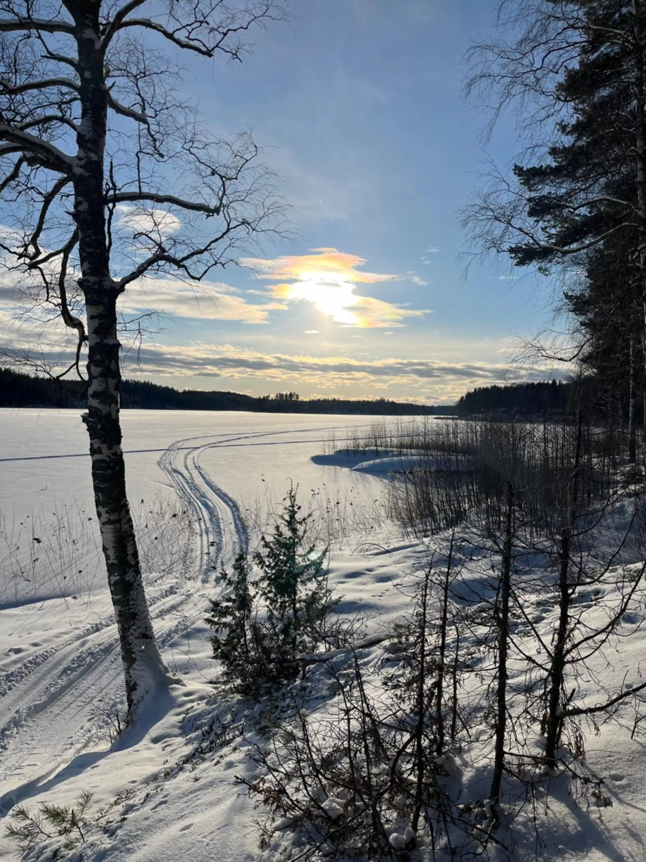 Natural landscape, Winter in Saimaanranta Resort by Anttolanhovi