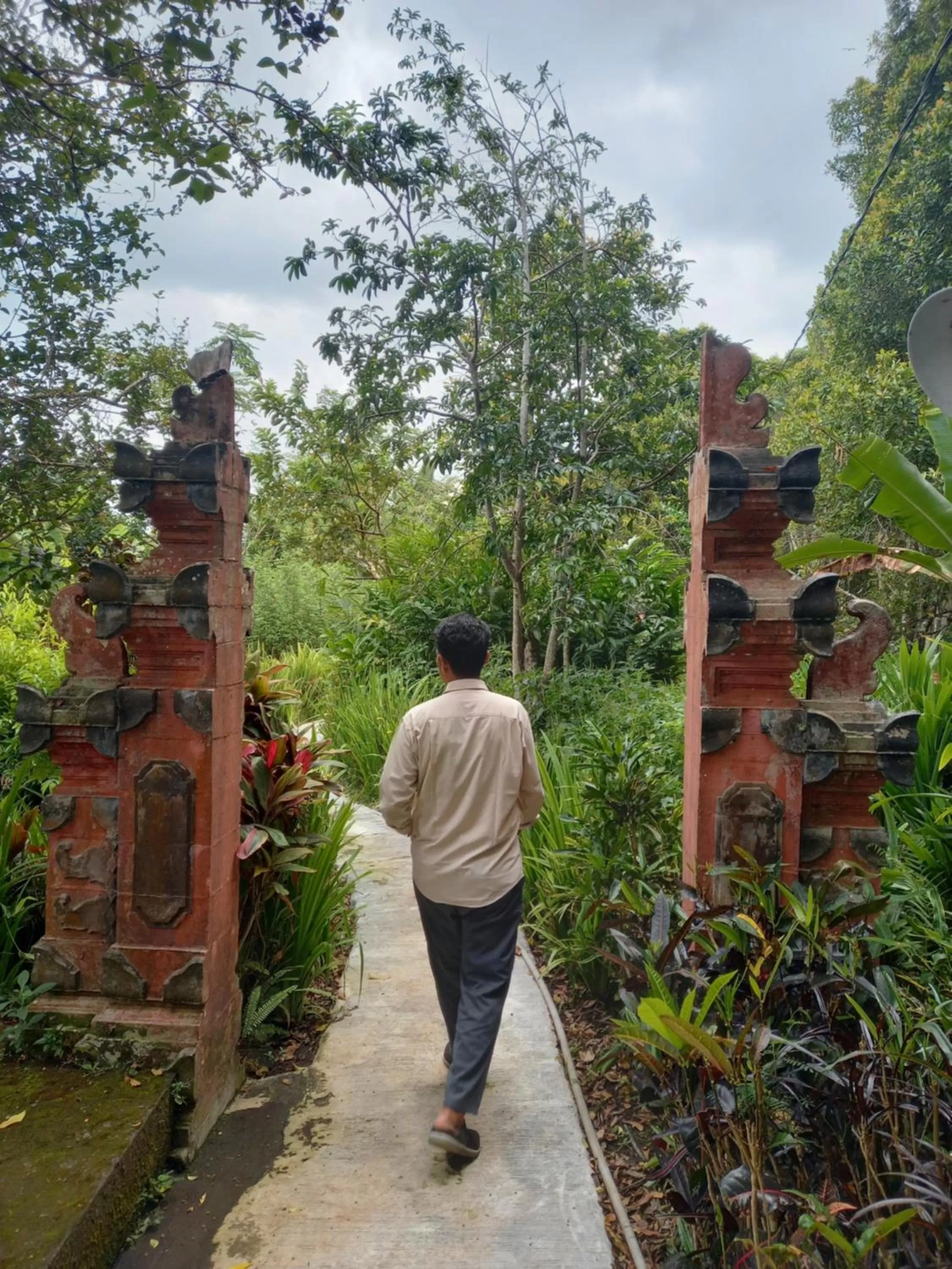 Natural landscape in VILLA IPSA