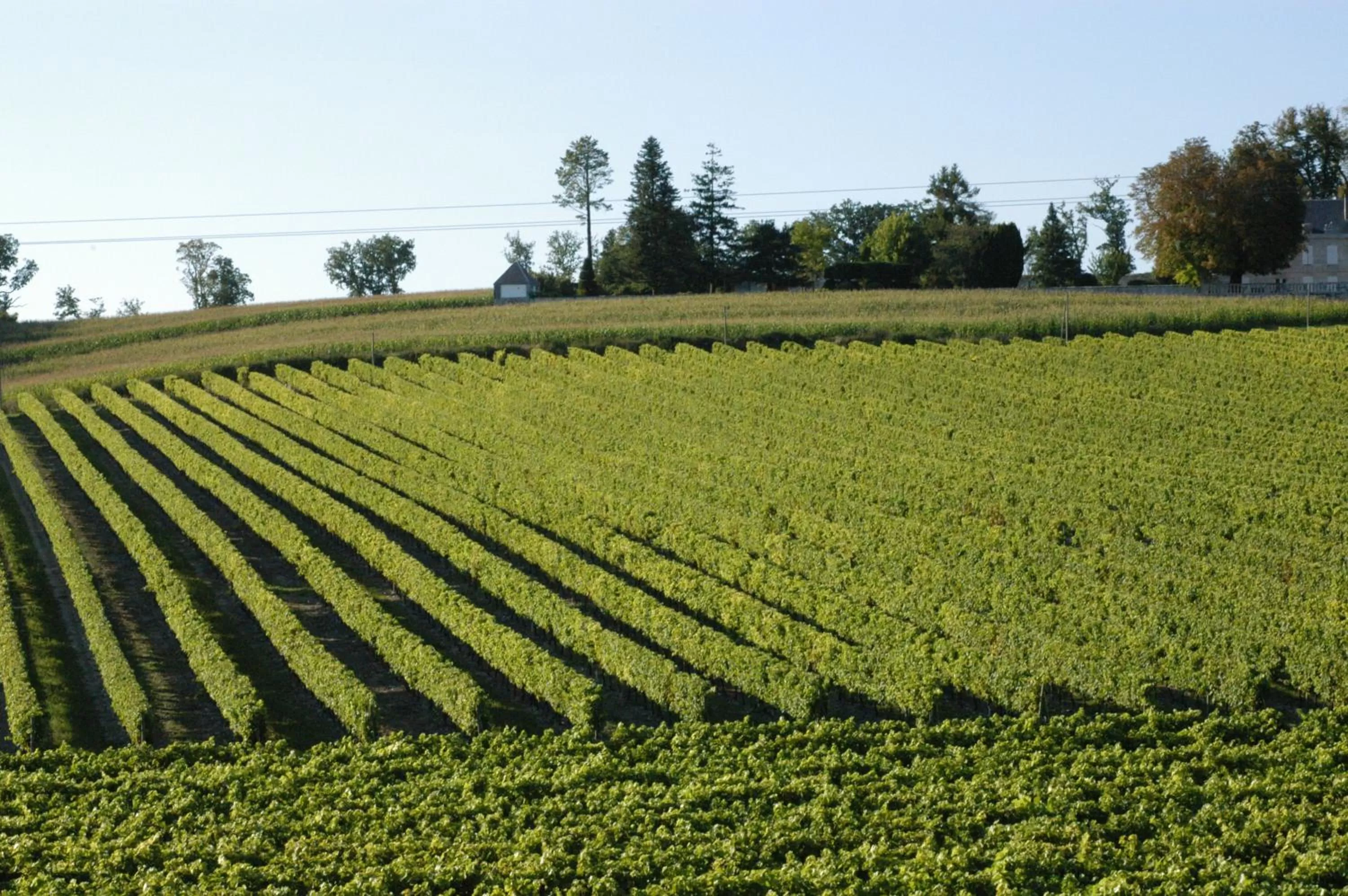 Natural landscape in Les Arums de Fondeminjean