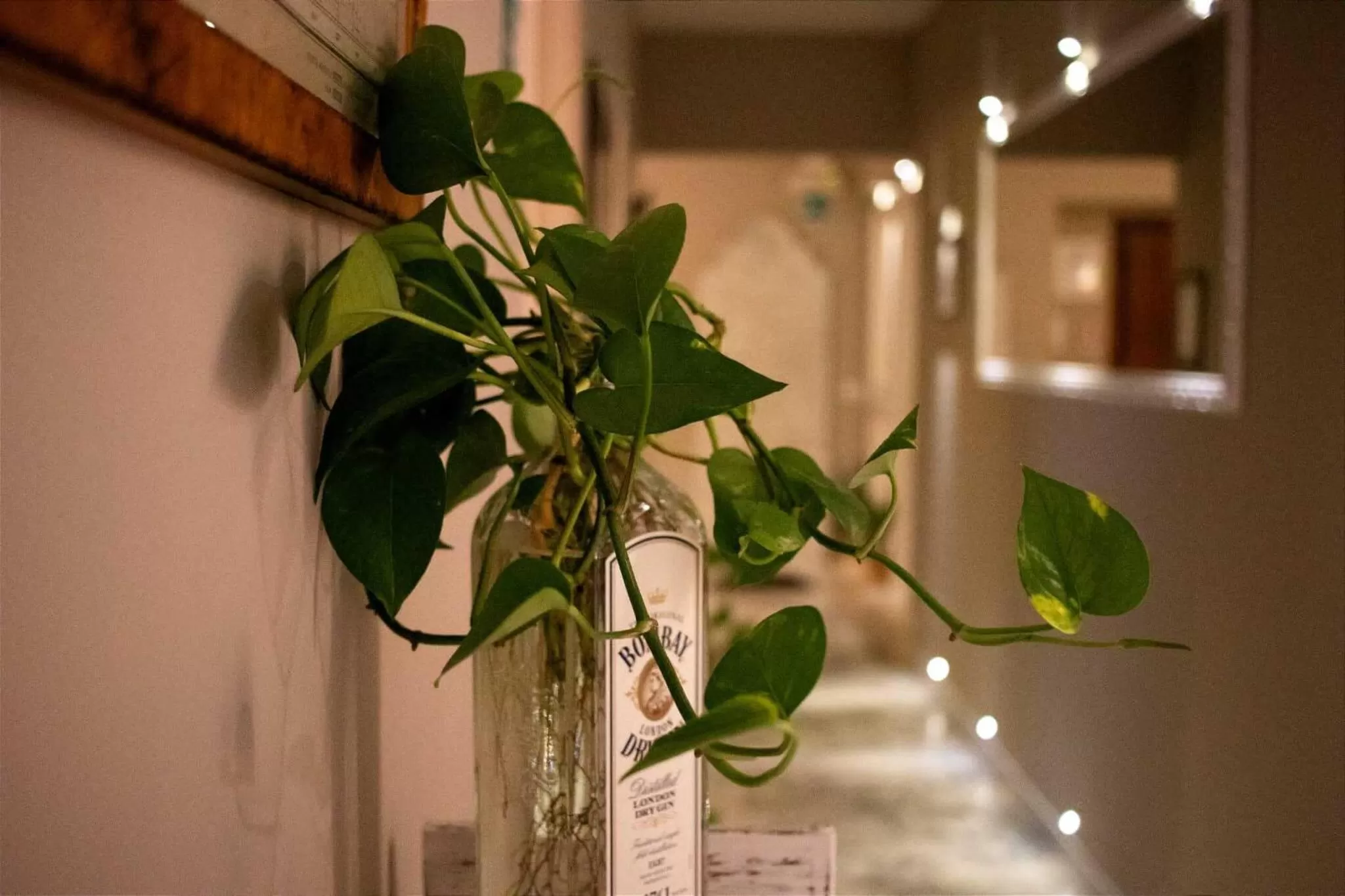 Other in In Trastevere House