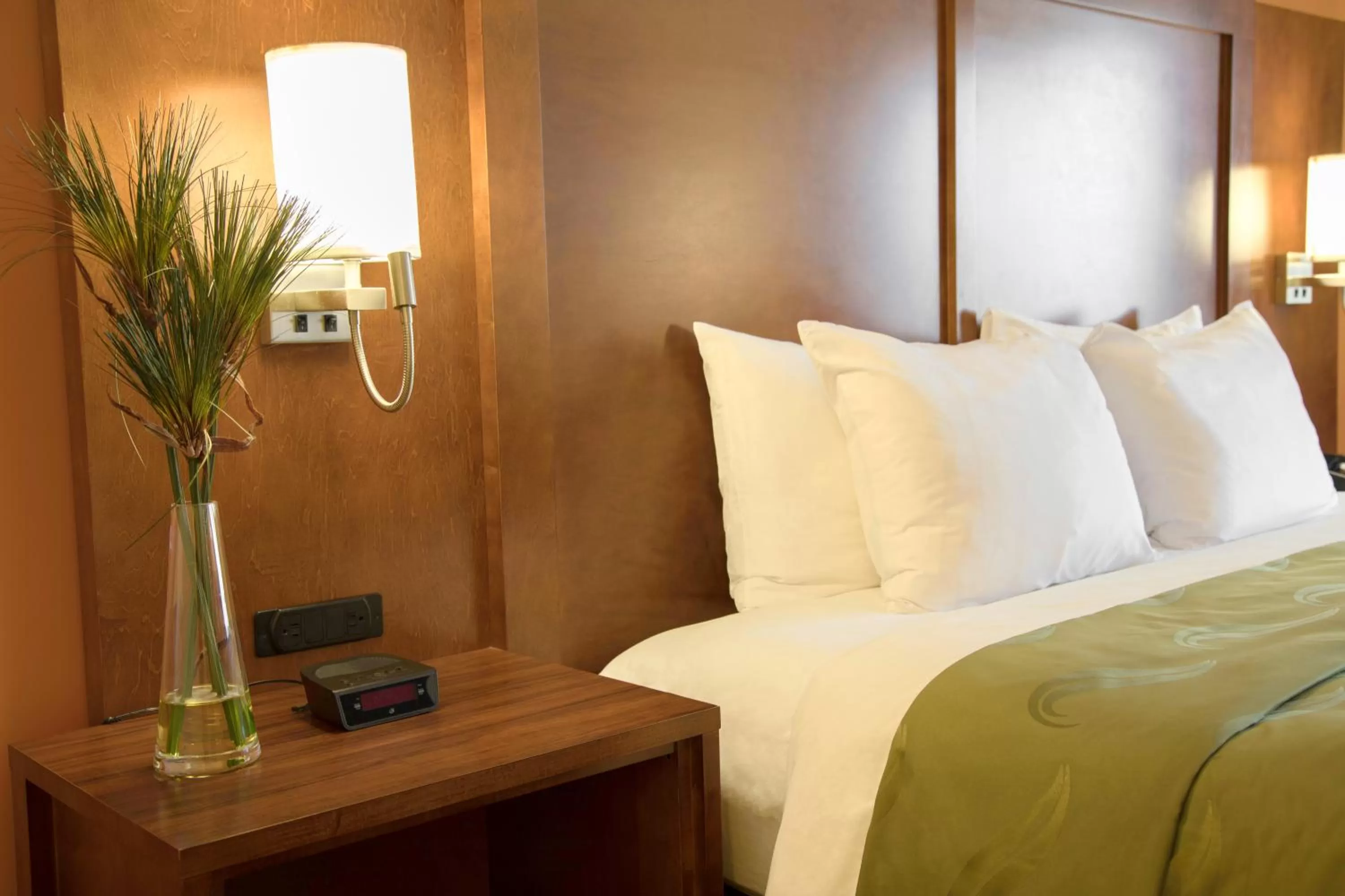 Bed in Quality Inn Merced Gateway to Yosemite