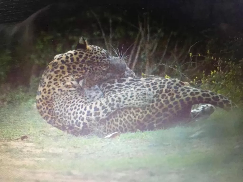 Jayasinghe Holiday Resort