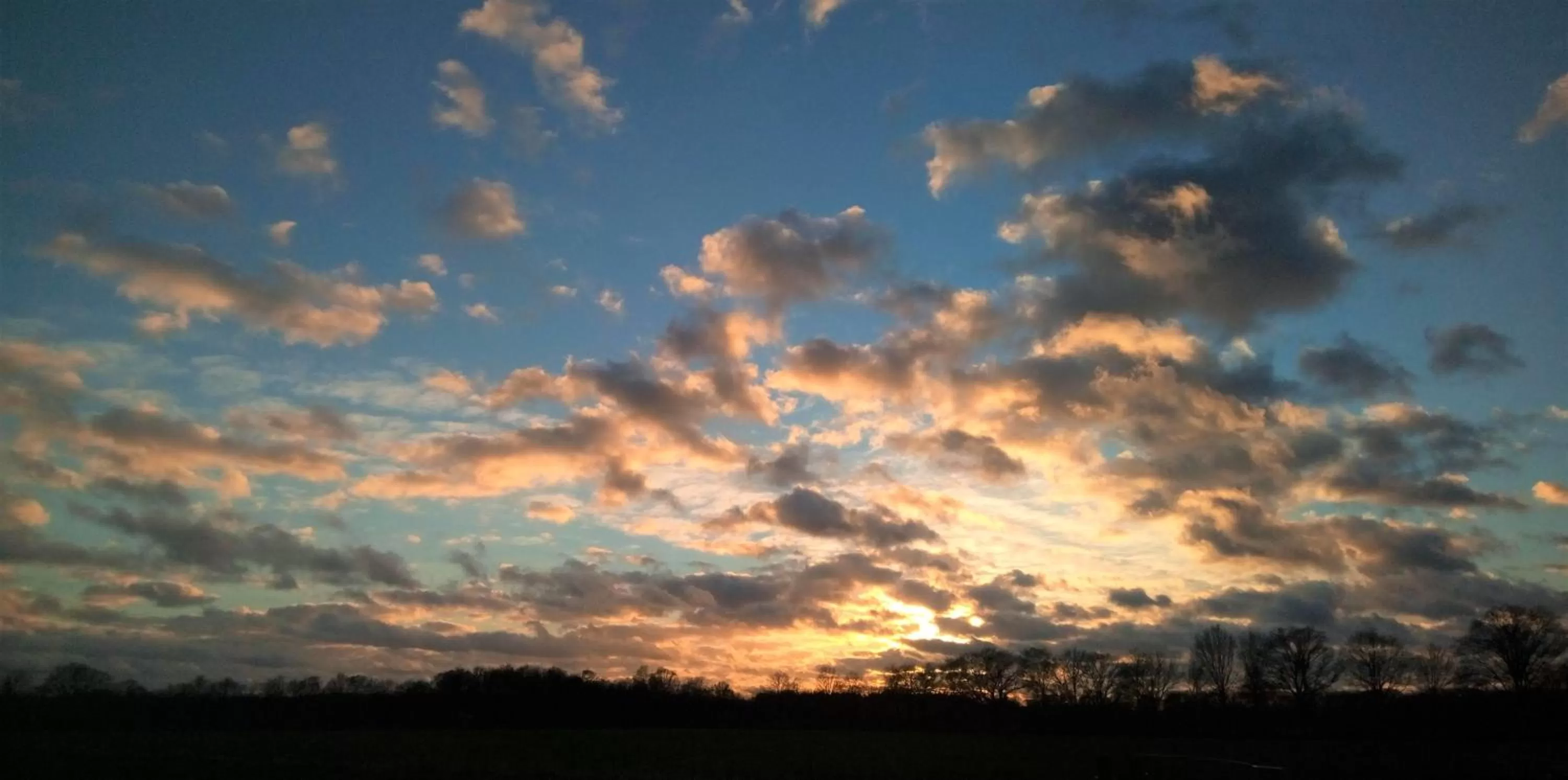 Natural landscape in B&B In de Wei