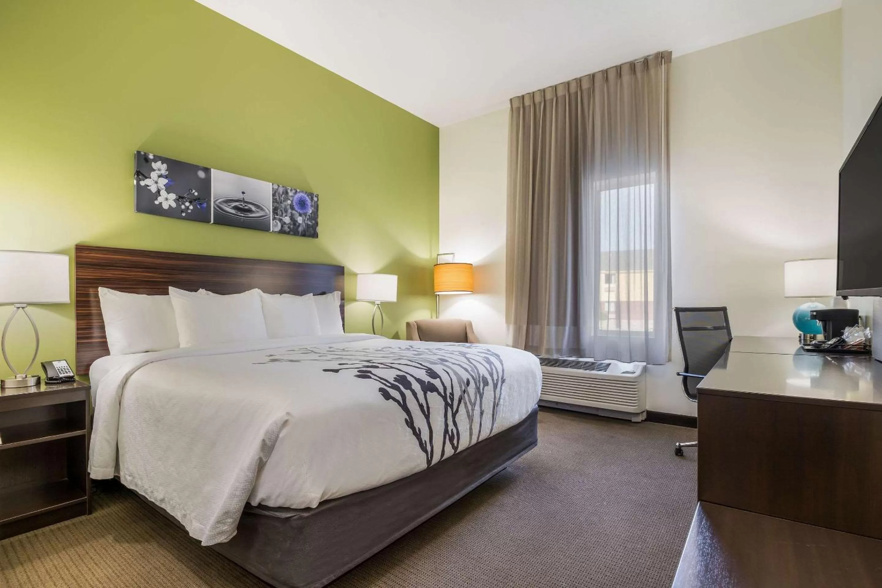 Standard King Room - Non-Smoking  in Sleep Inn & Suites Park City-Wichita North