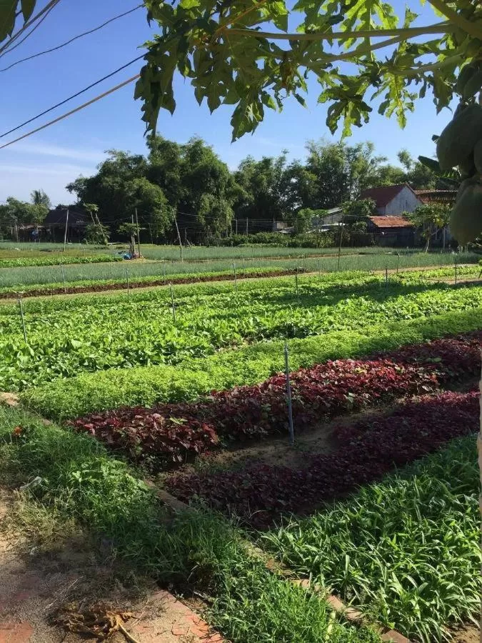 Hoi an Osaka Riverside Villa & Spa
