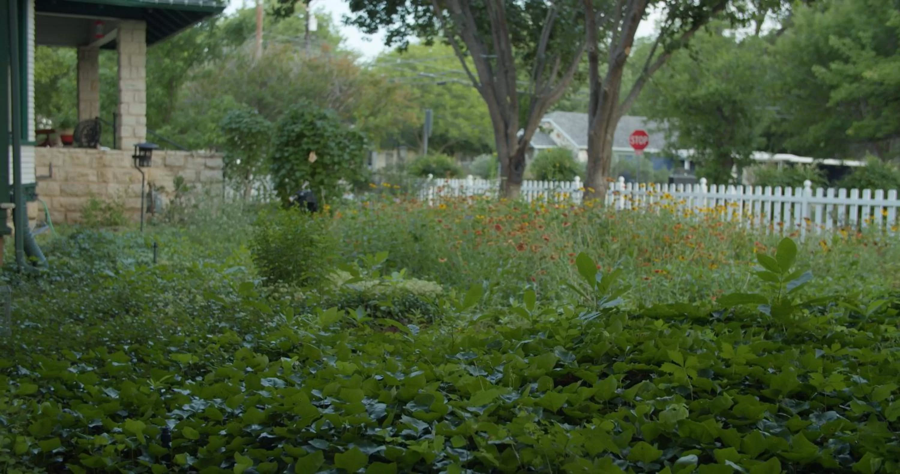 Garden in Granbury Gardens Bed and Breakfast