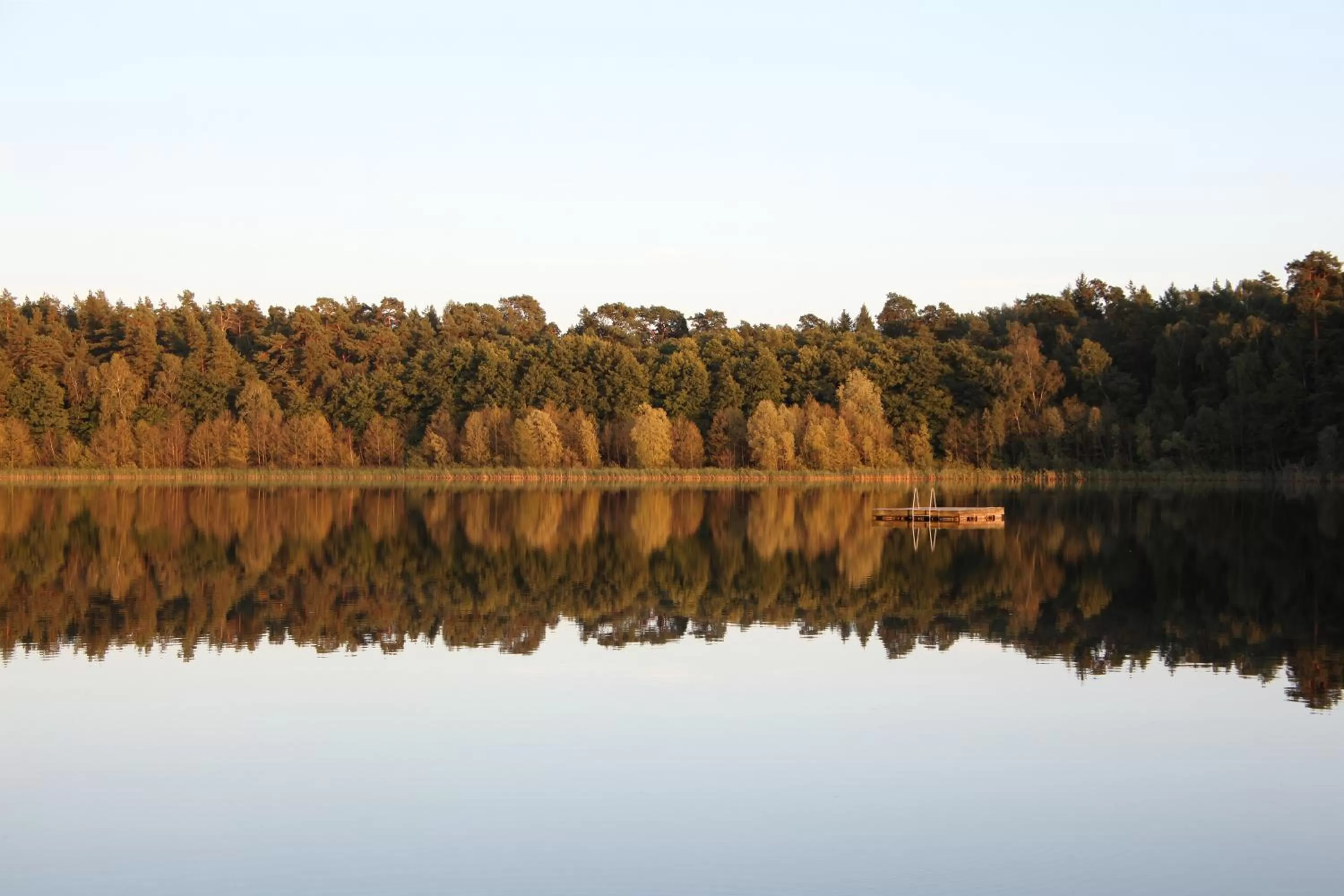 Beach in Hotel Döllnsee-Schorfheide