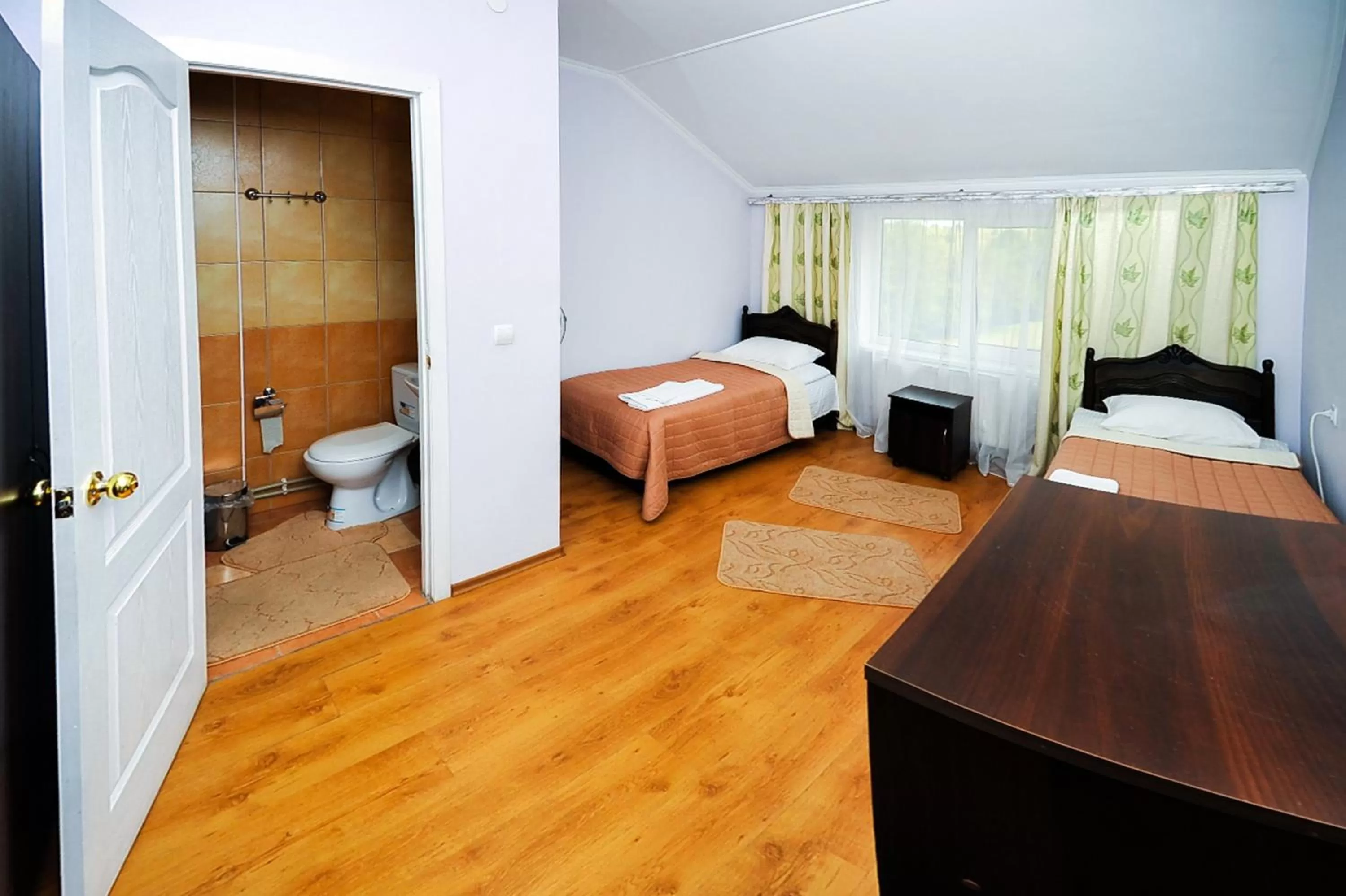 Budget Double Room in Shklo Motel