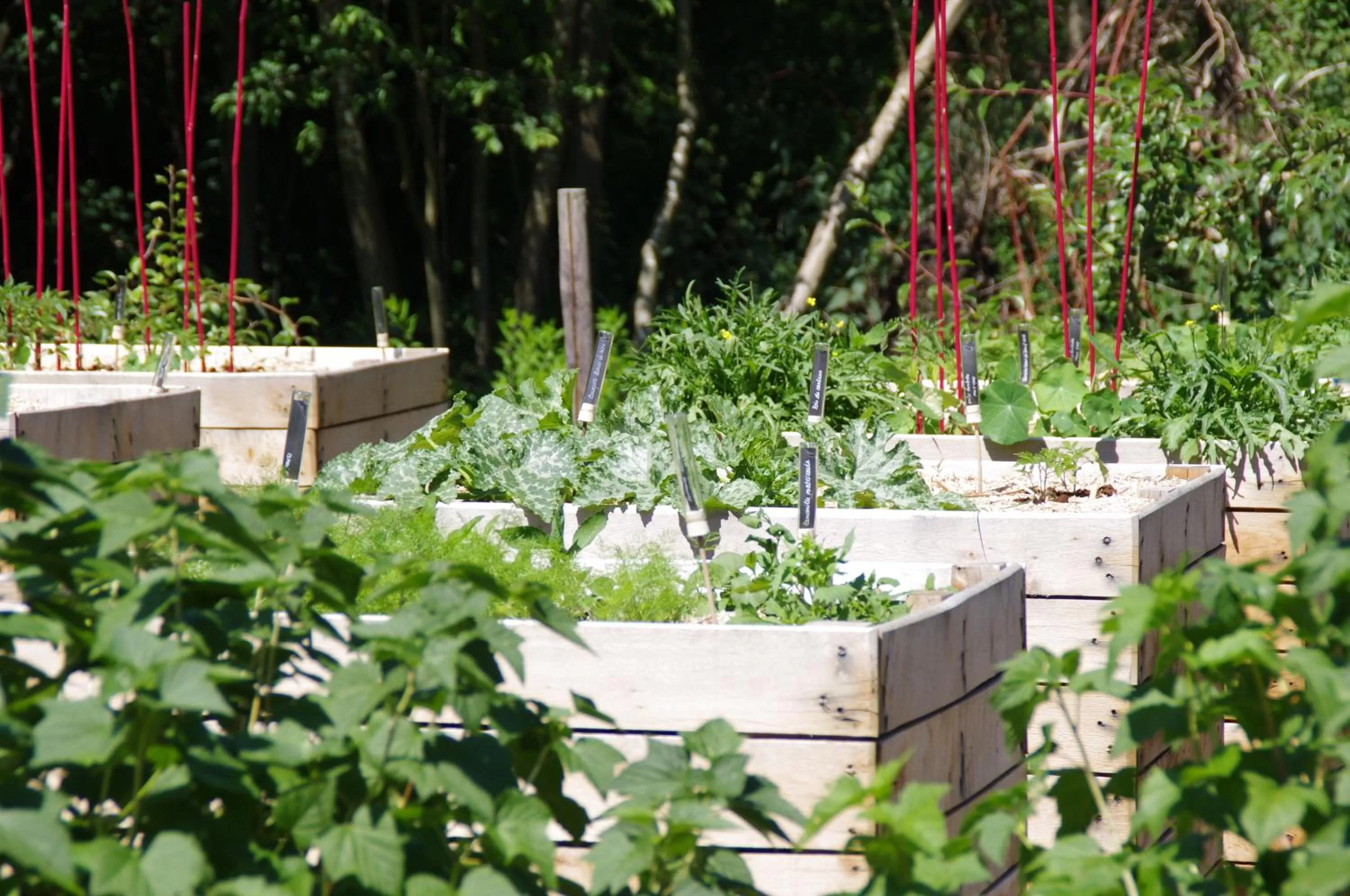 Garden in Hostellerie La Claire Fontaine, Logis hôtels & Spa