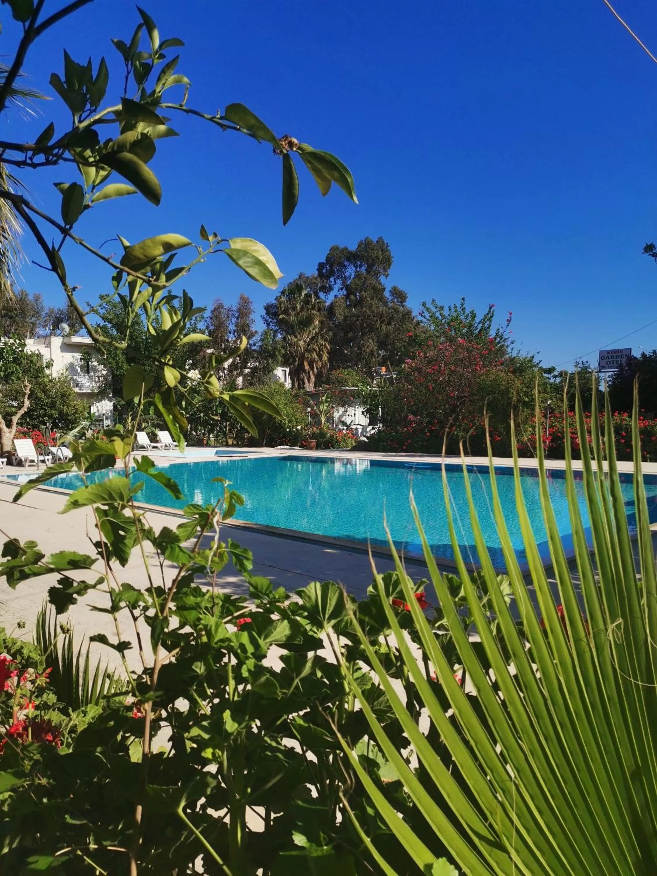 Pool view in Kiriş Garden Hotel